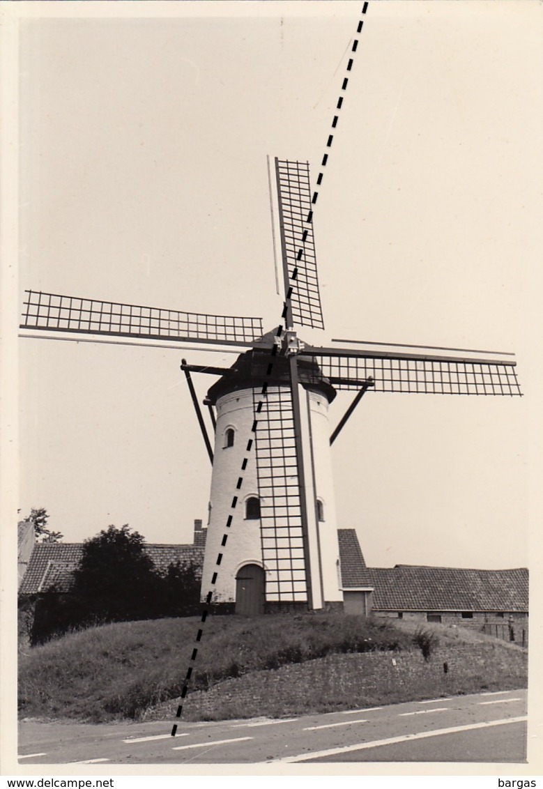 Photo Originale Moulin Molen à Hoeke Damme - Orte