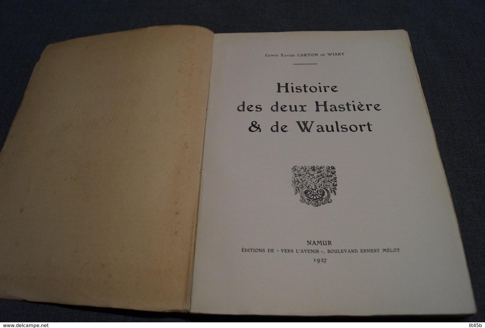 Histoire Des Deux Hastières Et Waulsort,Namur 1927,Conte Xavier Carton De Wiart,199 Pages,26 Cm. Sur 19 Cm. - Belgique
