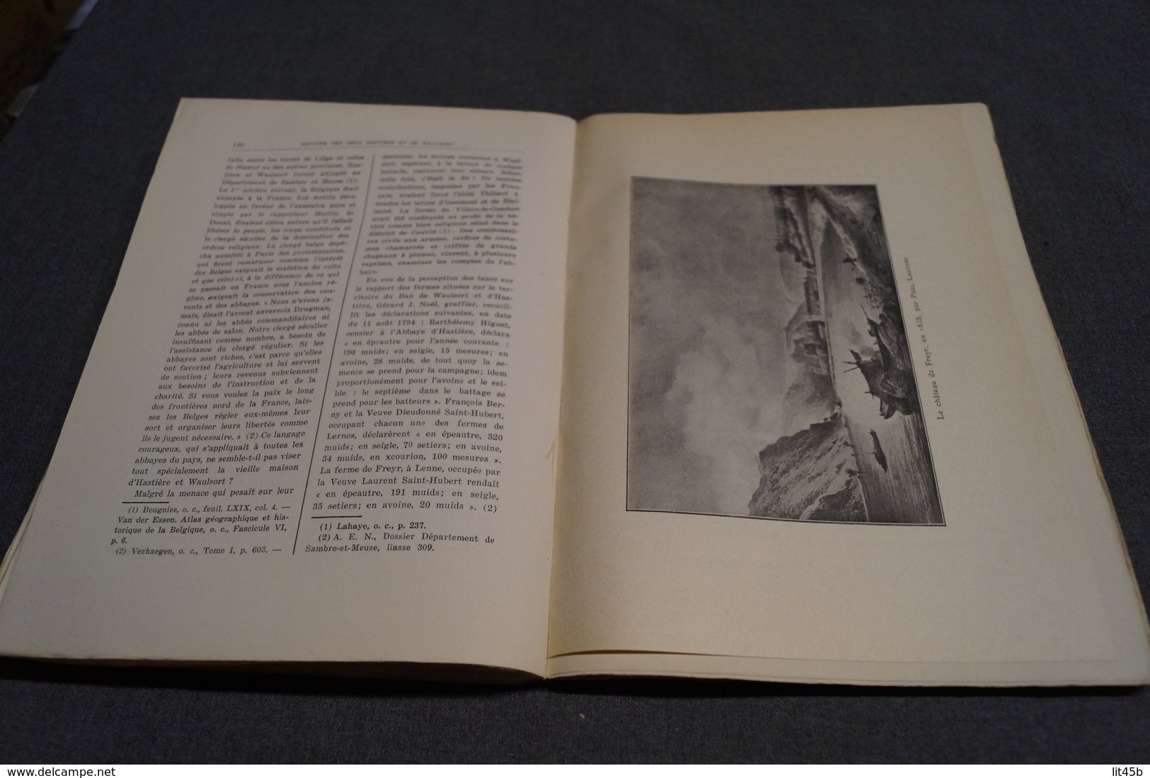 Histoire des deux Hastières et Waulsort,Namur 1927,Conte Xavier Carton de Wiart,199 pages,26 cm. sur 19 Cm.