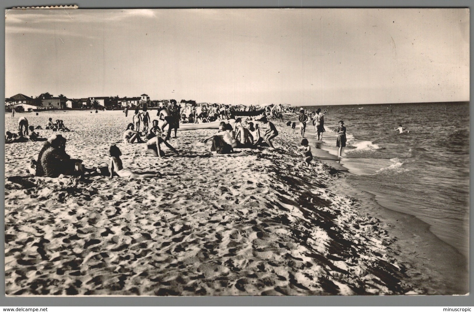 CPSM 66 - Canet En Roussillon - Plage - La Plage - Canet En Roussillon