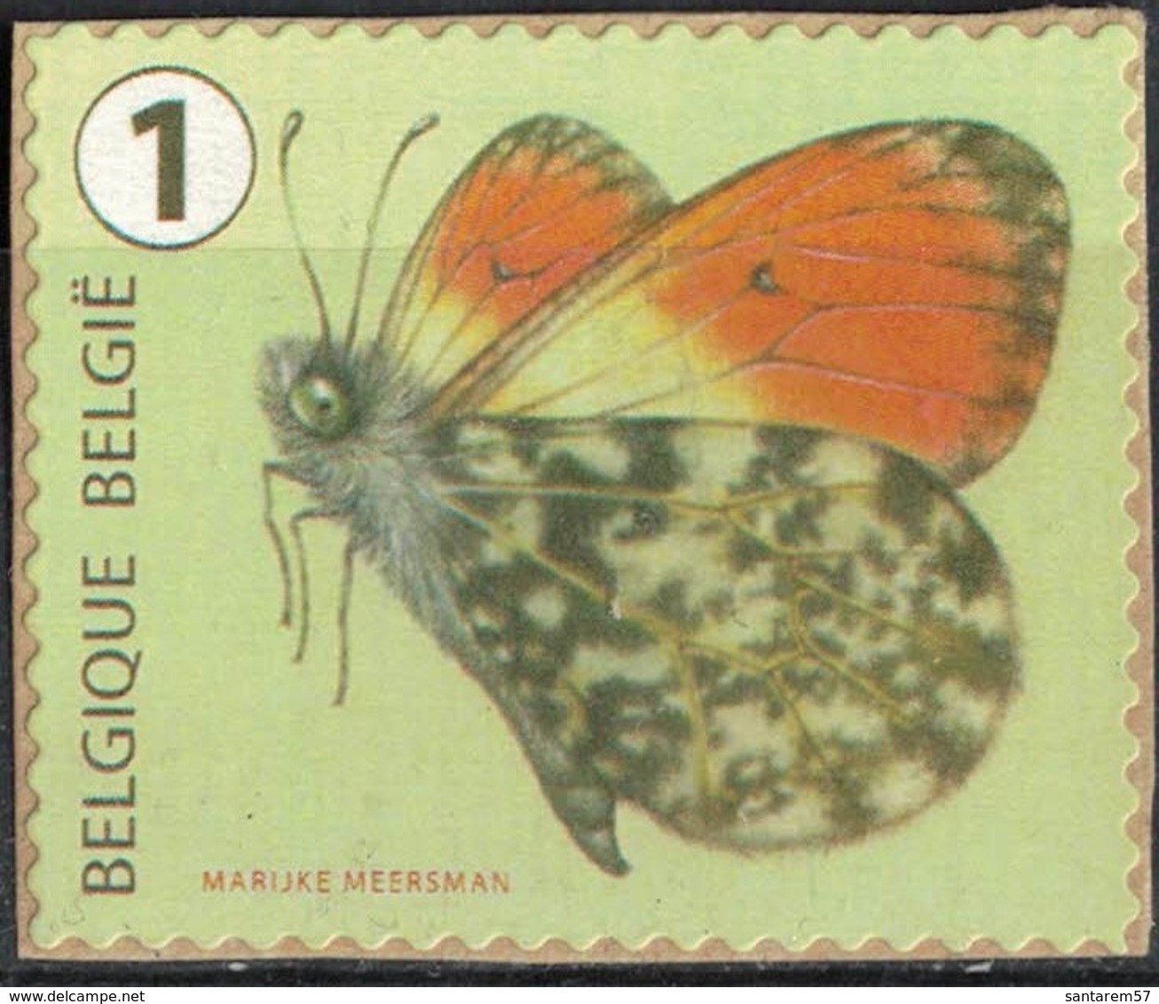 Belgique 2014 Sur Fragment Butterfly Papillon Anthocharis Cardamines Aurore - Ungebraucht