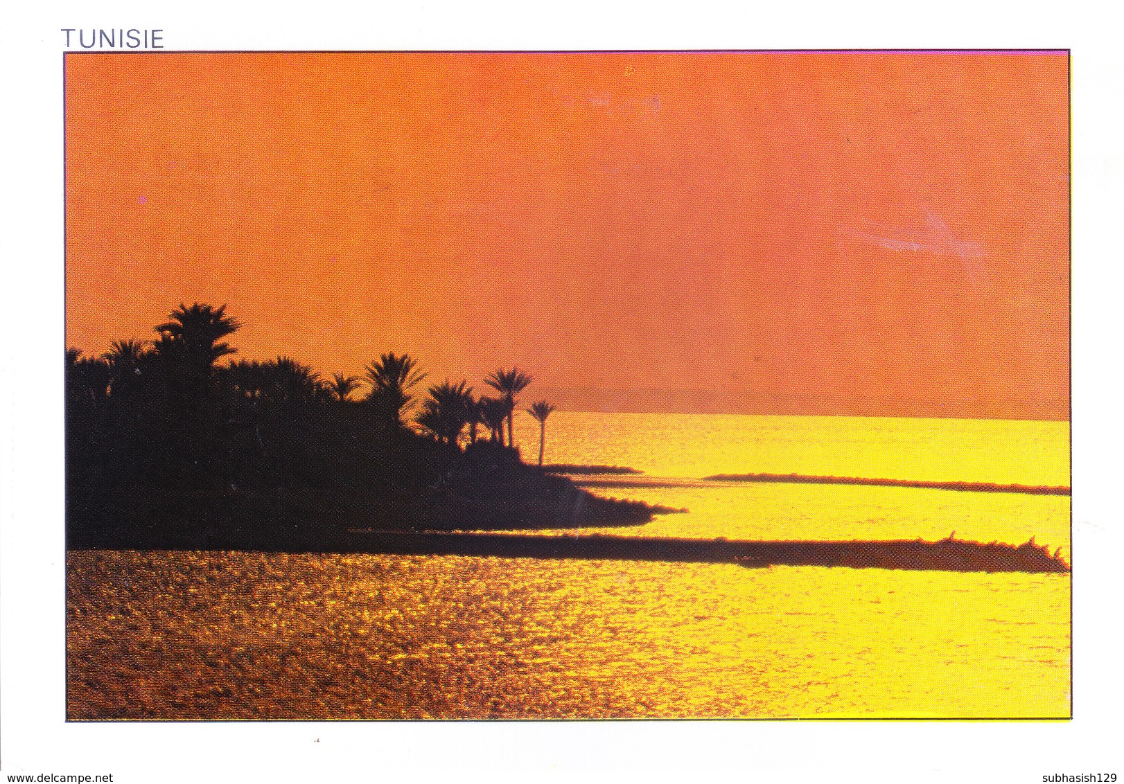 TUNISIA : 1989 PICUTURE POST CARD COMMERCIALLY SENT TO GERMANY : SEA VIEW - COUCHER DE SOLEIL - Tunisia