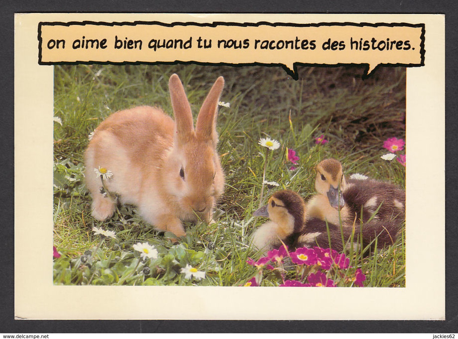 90013/ ANIMAUX HUMORISTIQUES, Lapin Et Canetons - Altri & Non Classificati