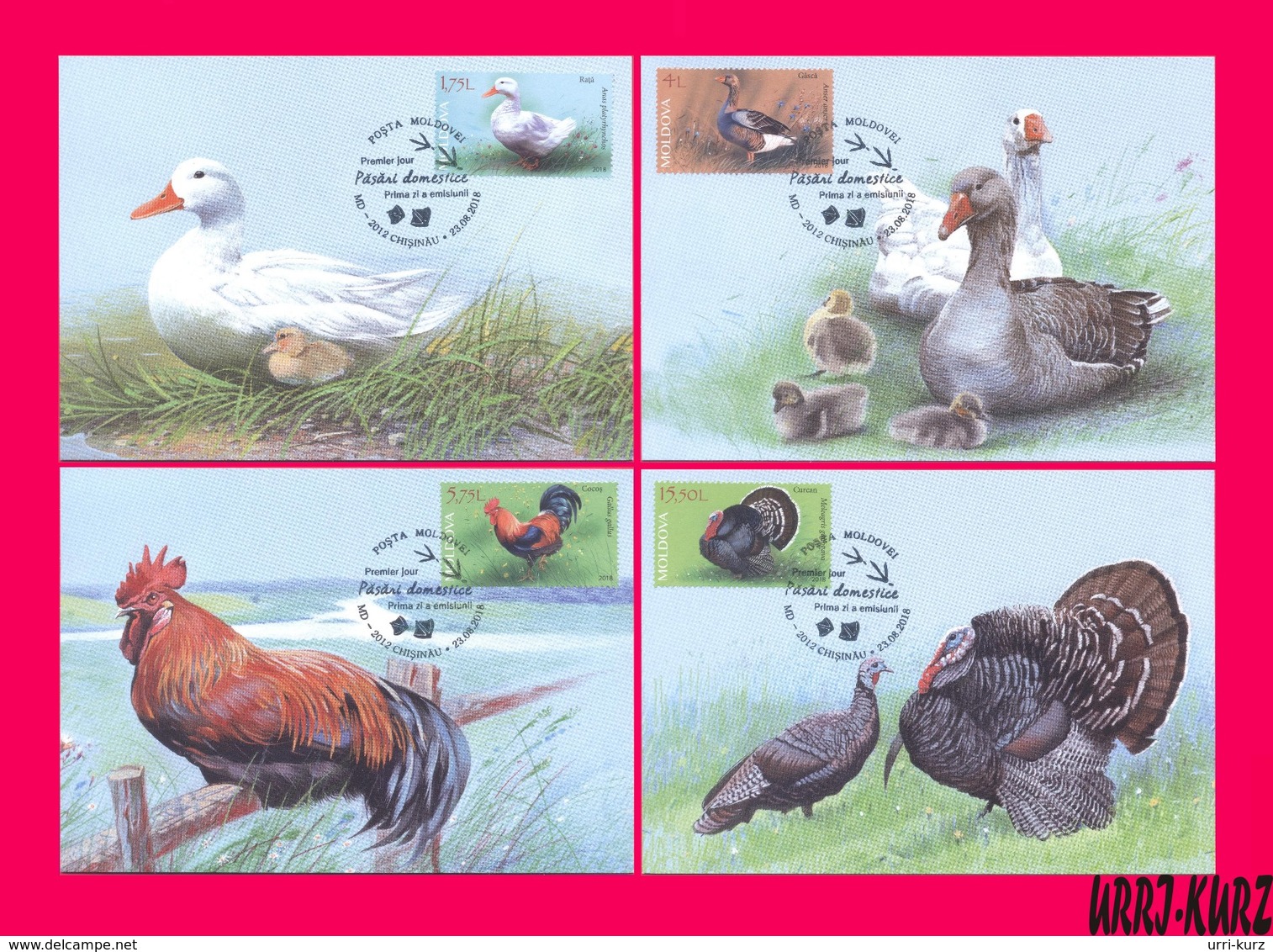 MOLDOVA 2018 Nature Fauna Birds Farm Domestic Poultry Goose Duck Rooster Turkey Gobbler 4 Maxicards Maximum Cards - Moldova