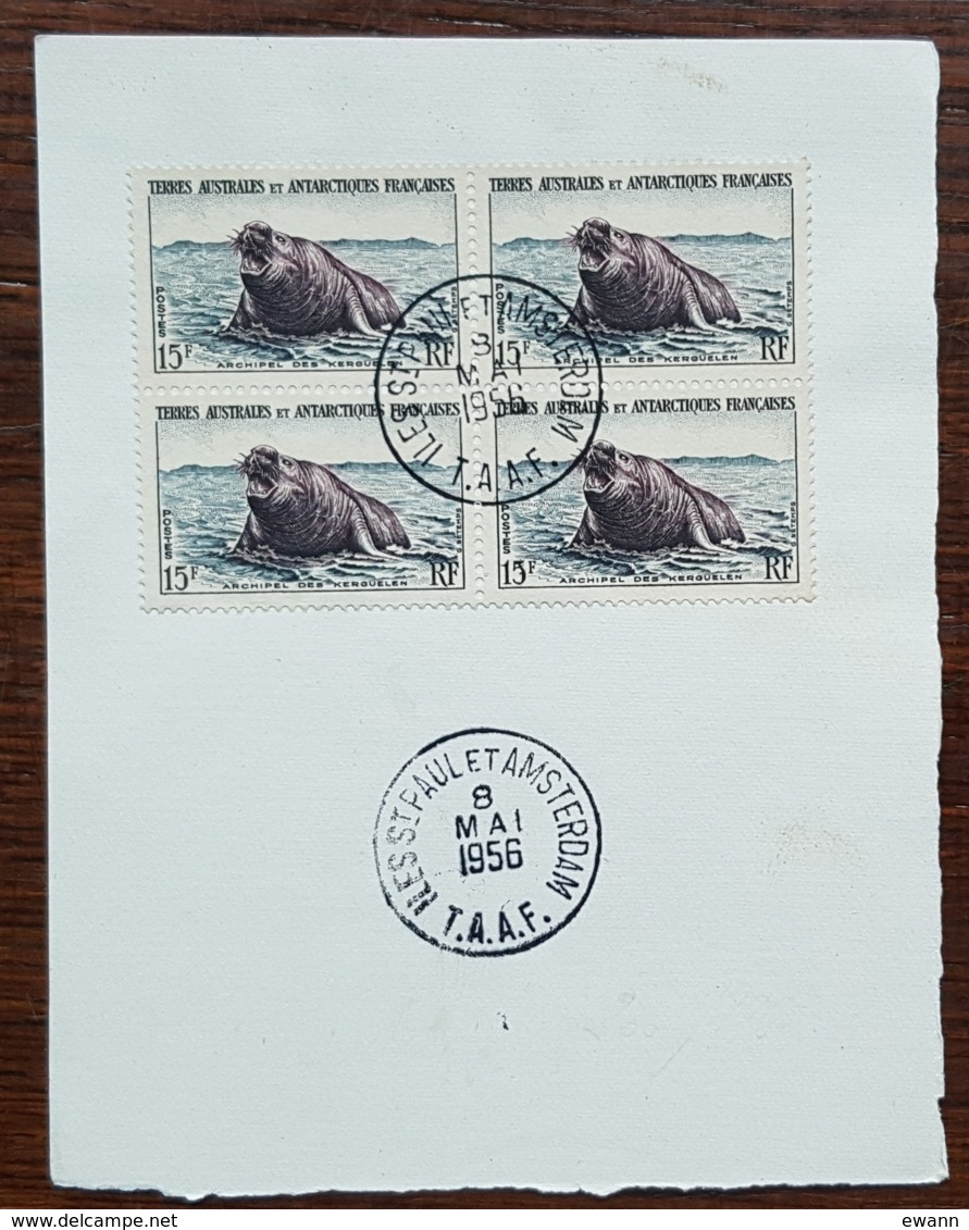 TAAF - YT N°7 - Bloc De 4 - Faune / Elephant De Mer - Oblitérés - 1956 - Used Stamps