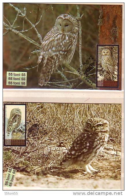 2009  BIRDS-Owls 4v. – 4 MC (maximum Cards) BULGARIA / Bulgarie - Cartas & Documentos