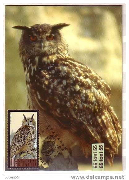 2009  BIRDS-Owls 4v. – 4 MC (maximum Cards) BULGARIA / Bulgarie - Cartas & Documentos