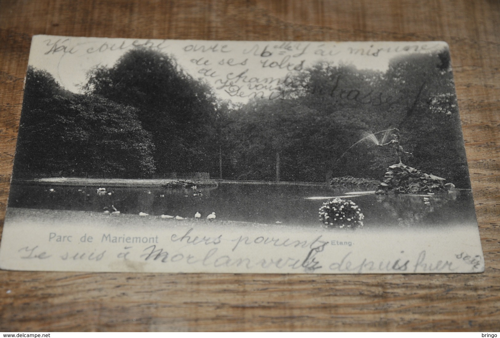 6883-  PARC DE MARIEMONT - 1905 - Jalhay