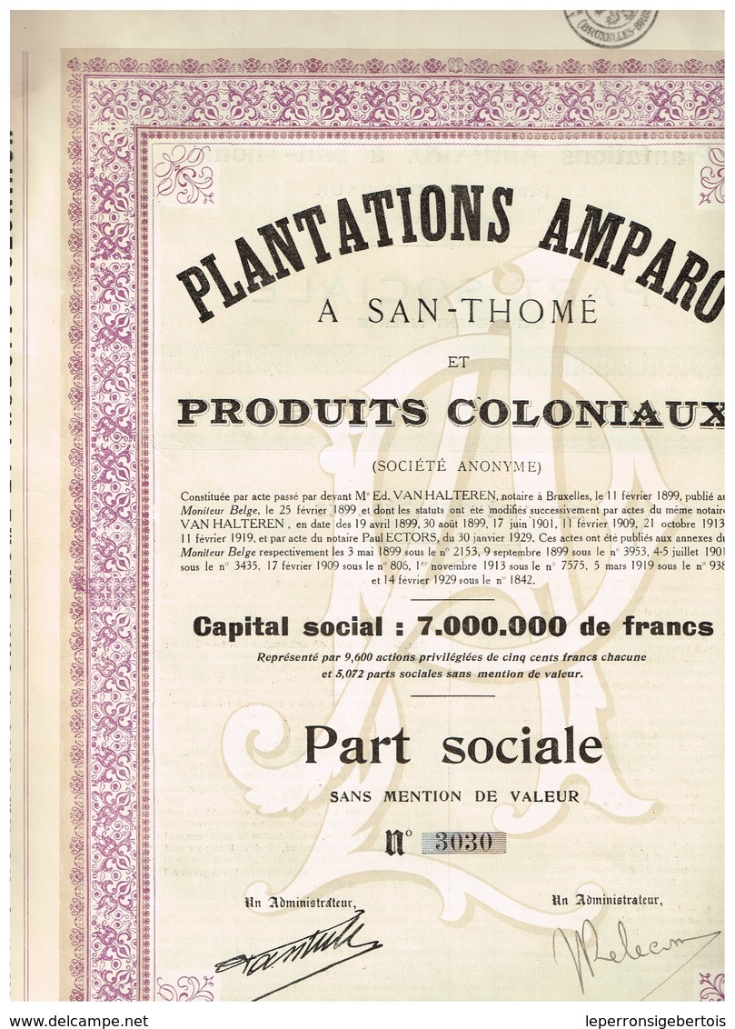 Action Ancienne - Plantations Amparo Et Produits Coloniaux à San-Thomé  (Inde) - Titre De 1929 - VF - Industrie