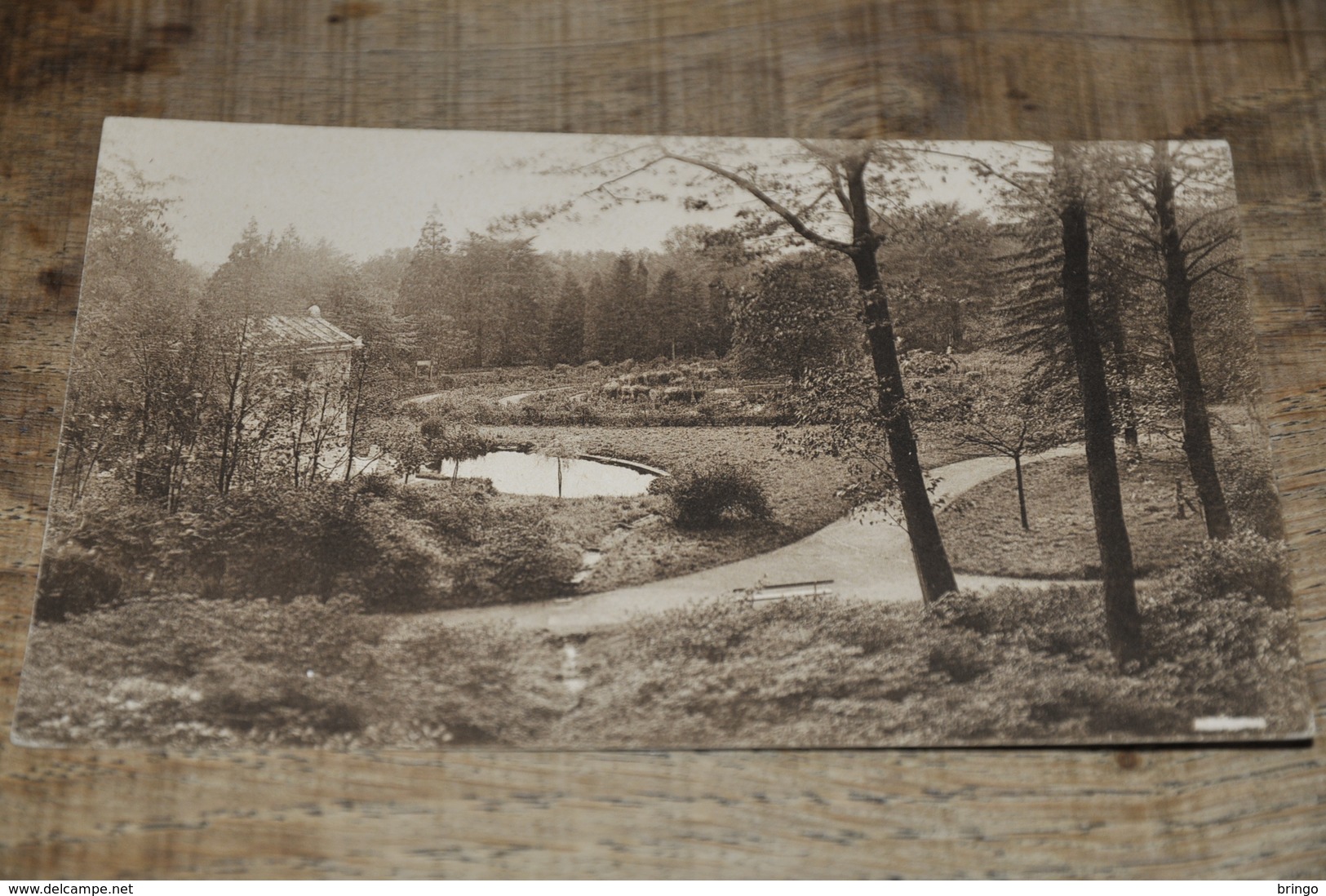 6894-    ROYAUME DE BELGIQUE, DOMAINE DE MARIEMONT, LE PARC - Morlanwelz