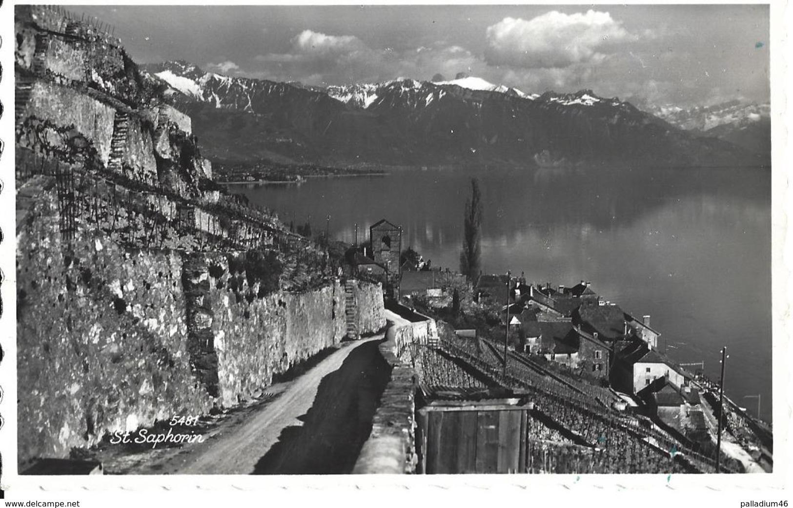 VAUD  - LAVAUX ST SAPHORIN - Perrochet, Phot. ,Lausanne No 5481 - Pas Voyagé - NEUVE - Saint-Saphorin