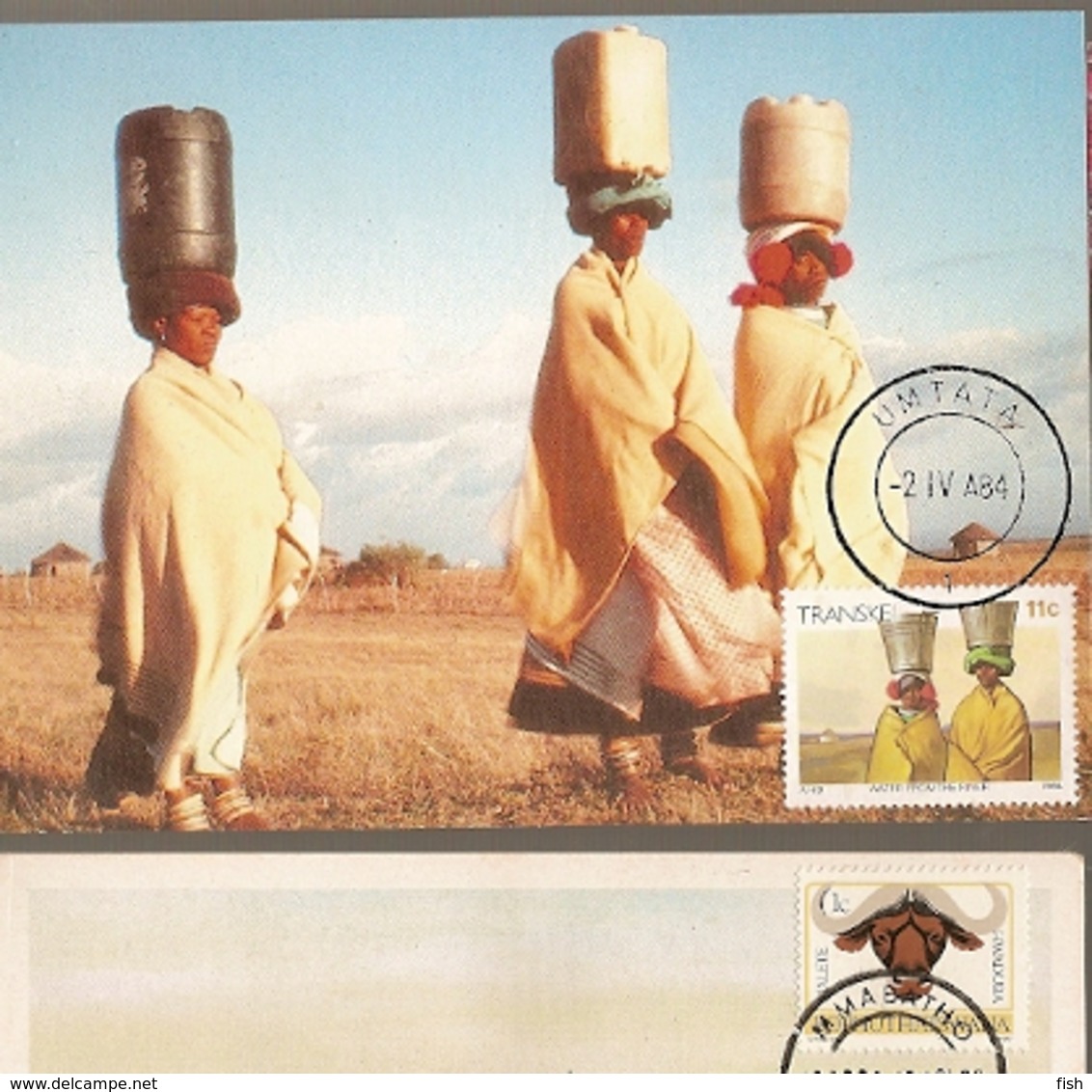 Transkei & Maxi Card, Water From The River, Xhosa Culture, Umtata 1982 (137) - Transkei