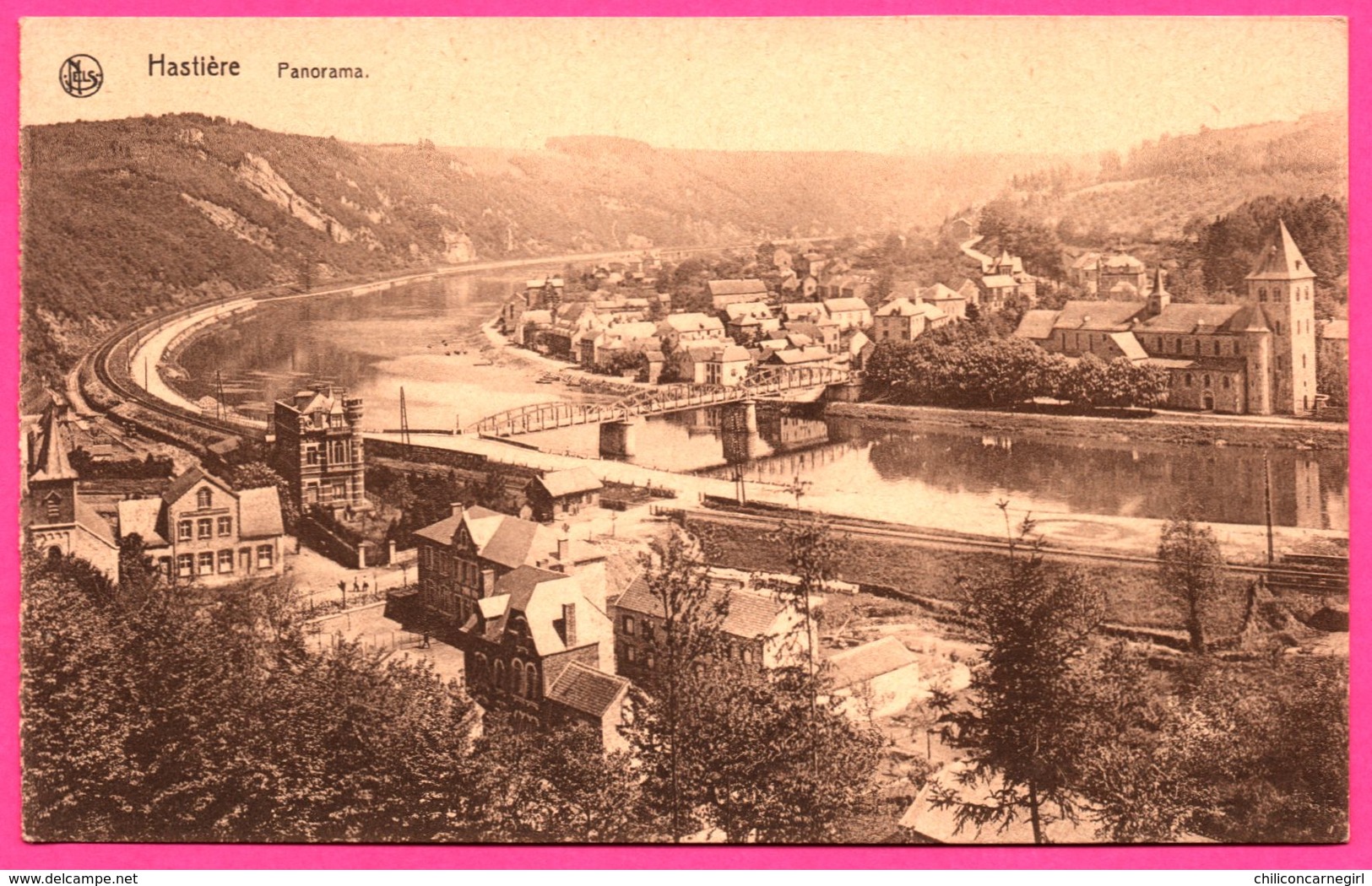 Hastière - Panorama - Vues Choisies De La Vallée De La Meuse - THILL - NELS - Hastière