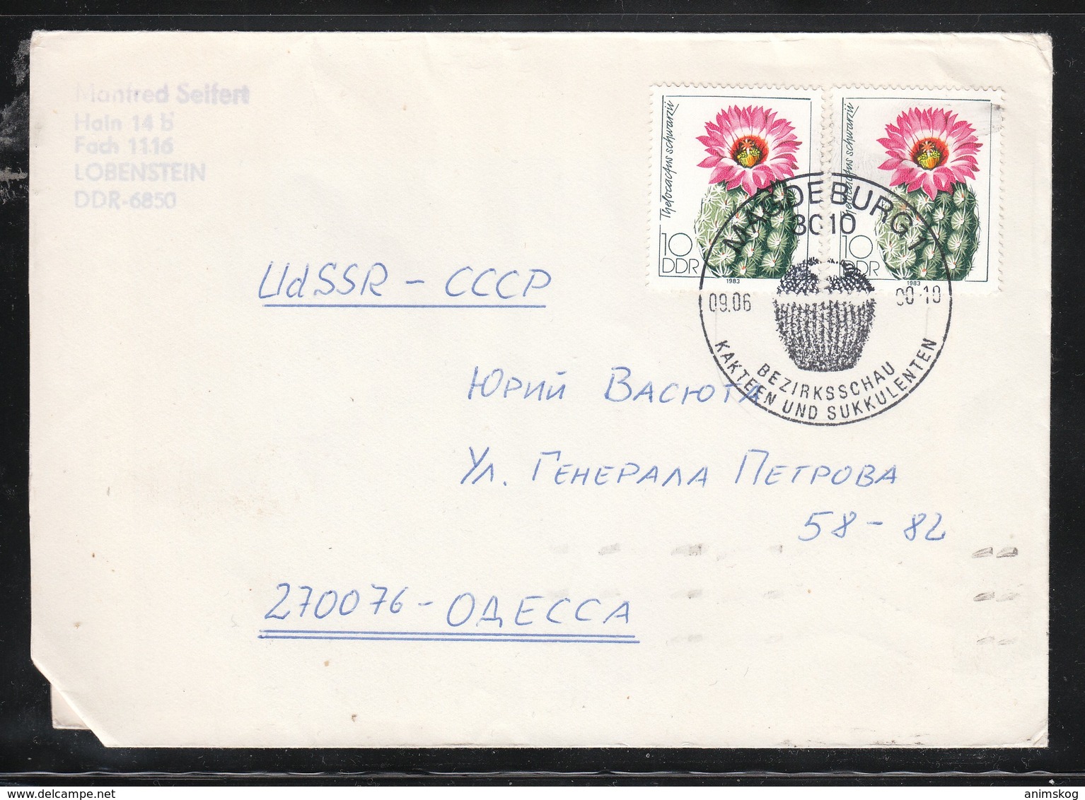 DDR 1983, Brief Mit 2xMiNr. 2803 Und SStpl.(Kaktus)  / GDR 1983, Cover With 2x MiNr. 2803 - Sukkulenten