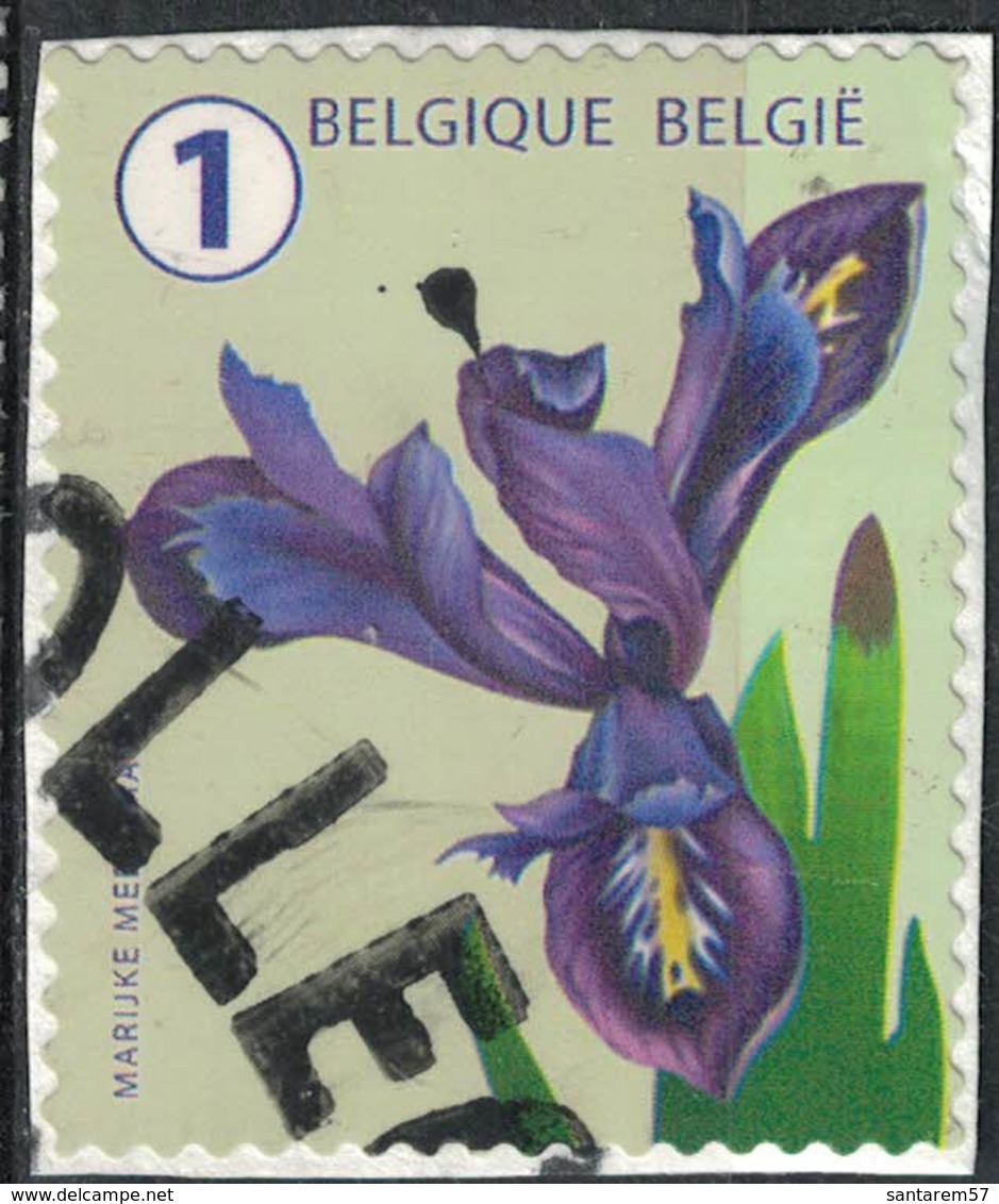 Belgique 2016 Oblitéré Used Fleur Flower Iris SU - Oblitérés