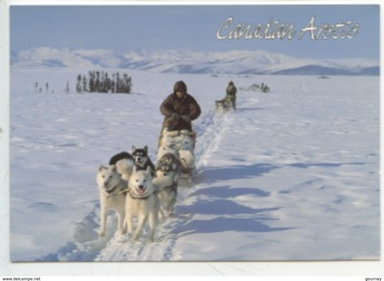 Canadian Arctic : Dog Teams On Trail At - 20° (cp Vierge) Attelage Chien De Traineau - Other & Unclassified