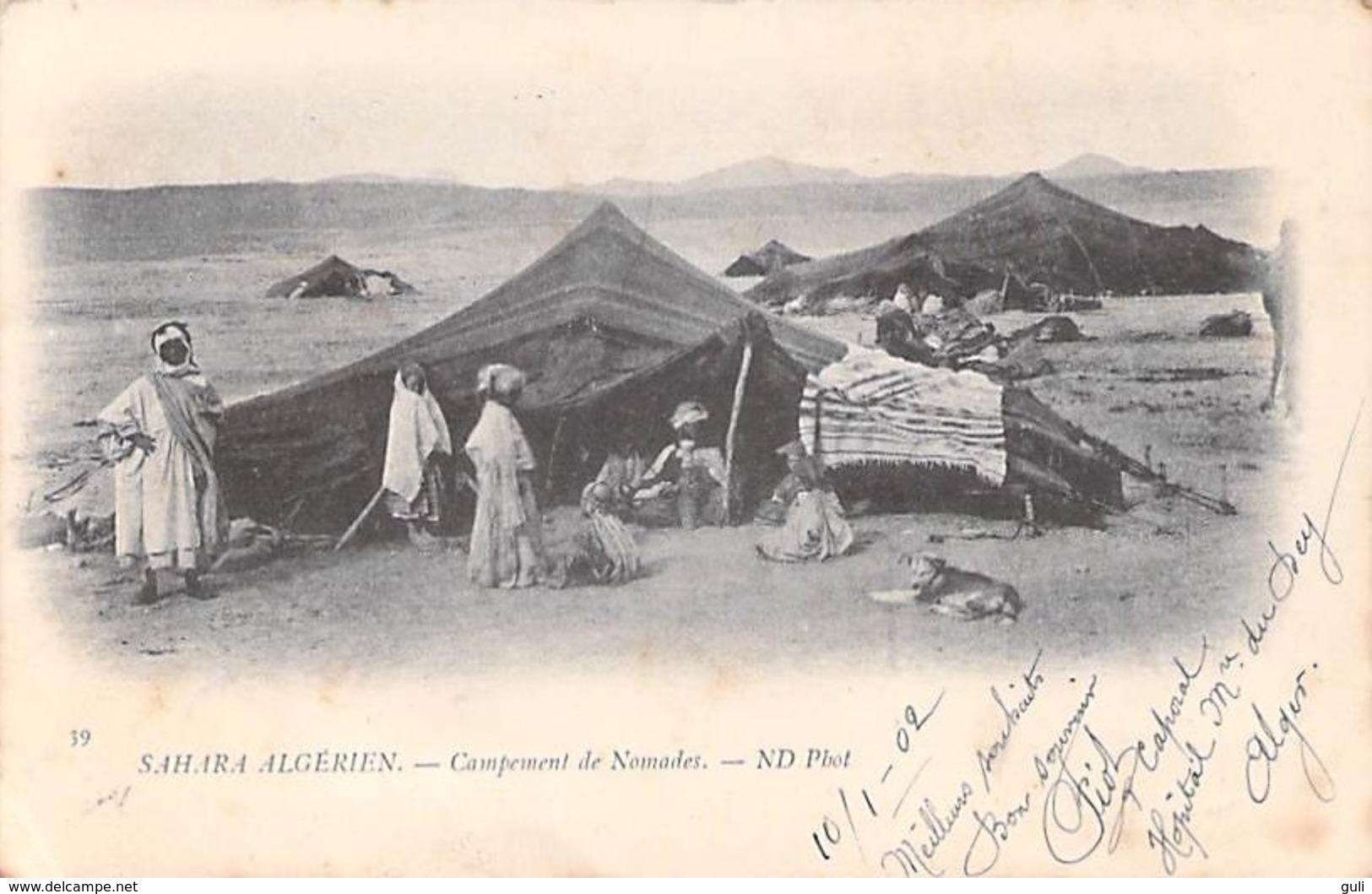 Algérie SAHARA ALGERIEN Campement De Nomades ( Cpa DOS SIMPLE  Année 1902 Editions : ND Phot 39 ) *PRIX FIXE - Scènes & Types