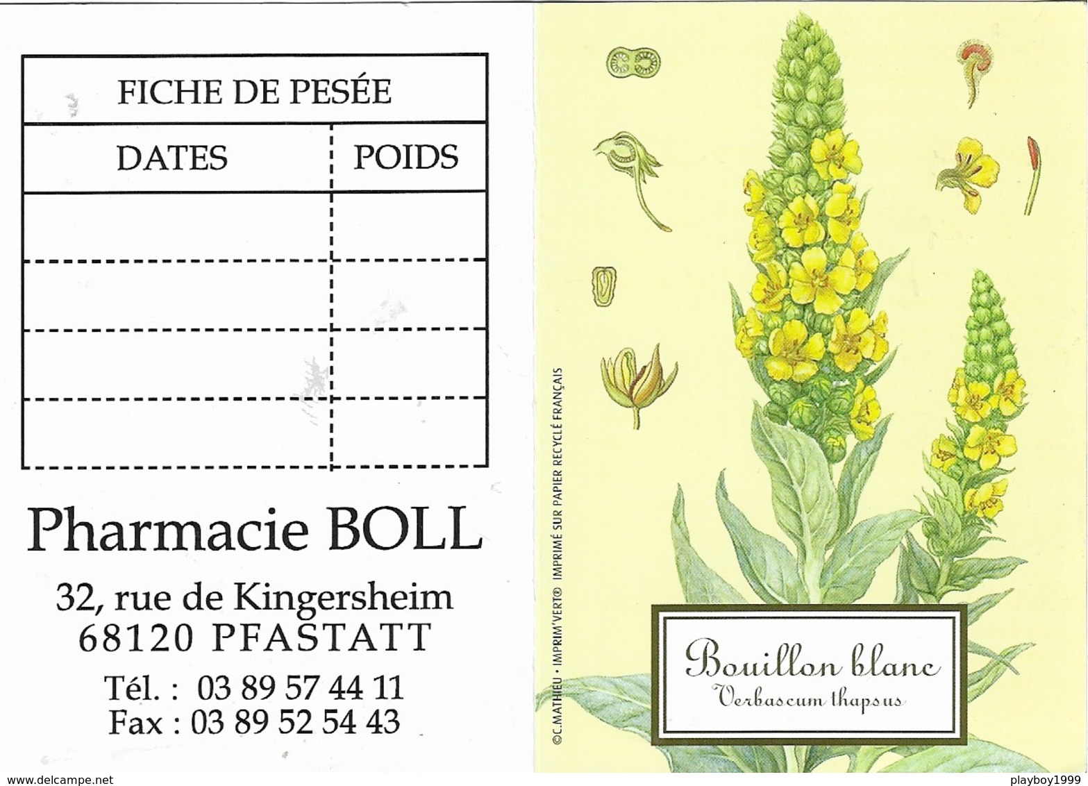 Calendriers De Poche 2011 - Plante ( Bouillon Blanc ) ( Verbascum Thapsus ) Pharmacie BOLL 68120 PFASTATT - - Klein Formaat: 2001-...