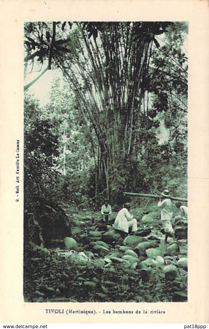 MARTINIQUE Antilles - TIVOLI : Les Bambous De La Rivière - CPA - Caribbean Caraïbes Tree Arbre Bome Boom Albero árbol - Autres & Non Classés