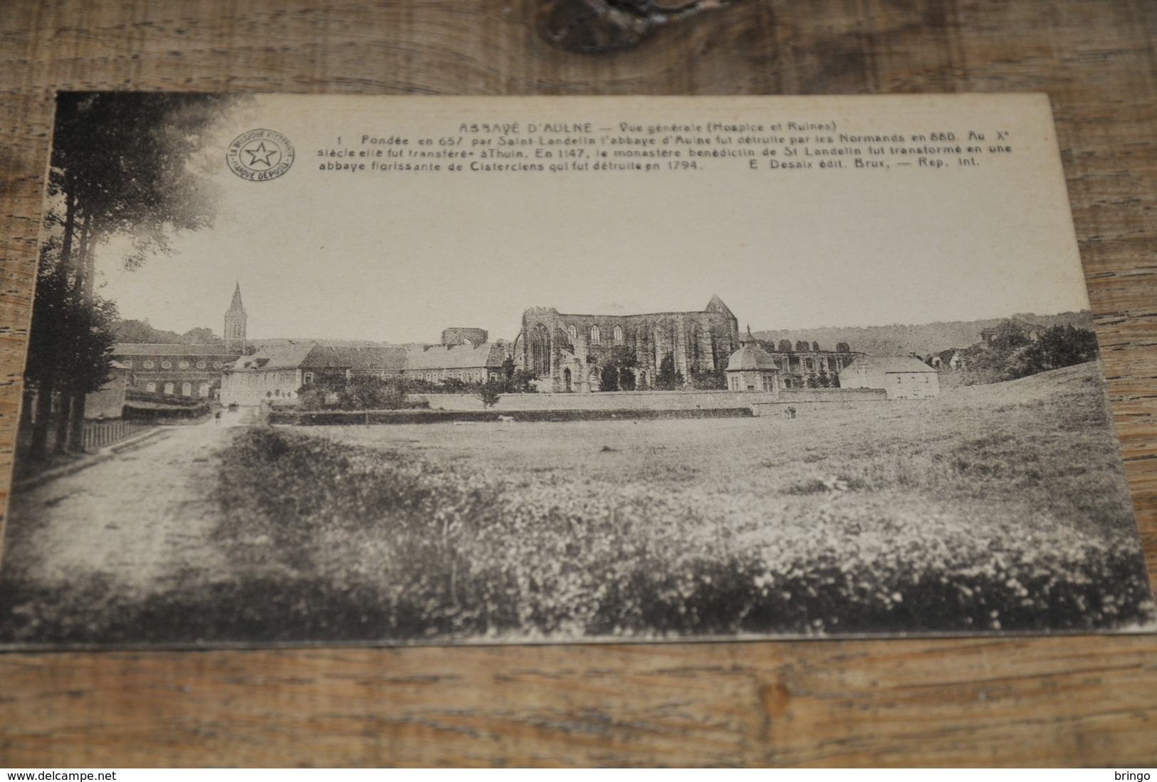 6931- ABBAYE D'AULNE, VUE  GENERALE HOSPICE ET RUINES - Thuin