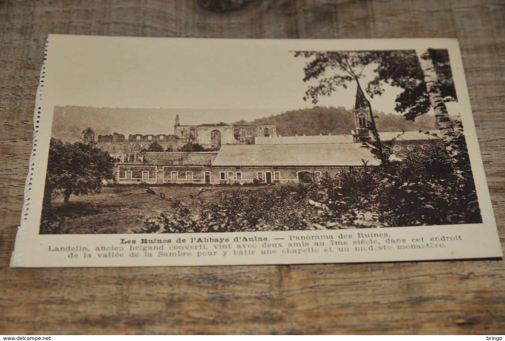 6932- LES RUINES DE L'ABBAYE D'AULNE - Thuin