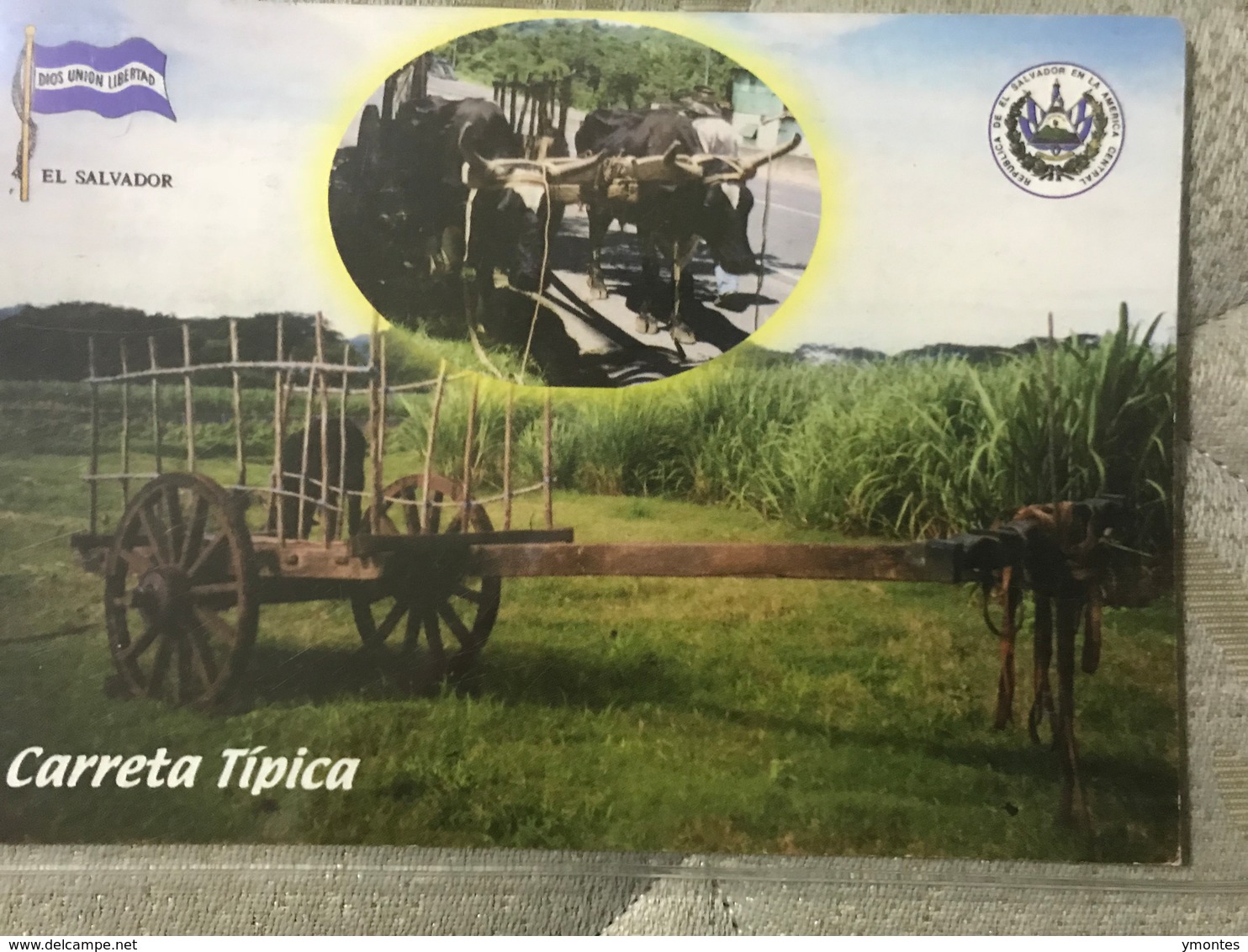 Circulated Postcard , Oxen And Cart , ( Fiirefighters Stamps ) - El Salvador