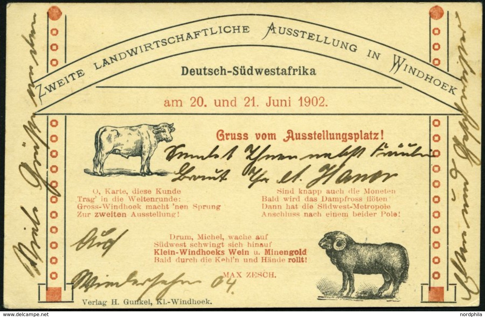 DSWA 12 BRIEF, 1902, 5 Pf. Grün Auf Ansichtskarte Zweite Landwirtschaftliche Ausstellung In Windhoek Von WINDHOEK Nach M - Africa Tedesca Del Sud-Ovest