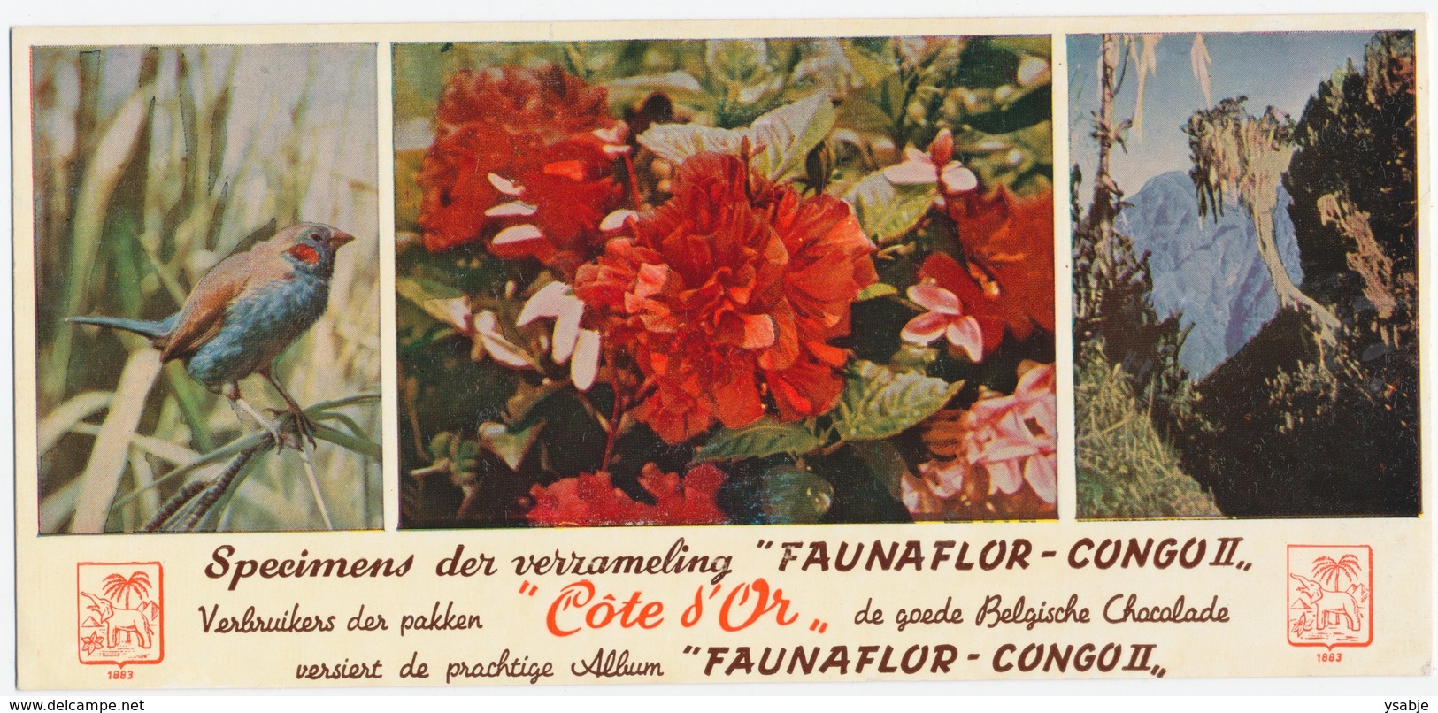 Côte D'Or - Specimens Der Verzameling "Faunaflor - Congo II" - Vloeipapier - Chocolat