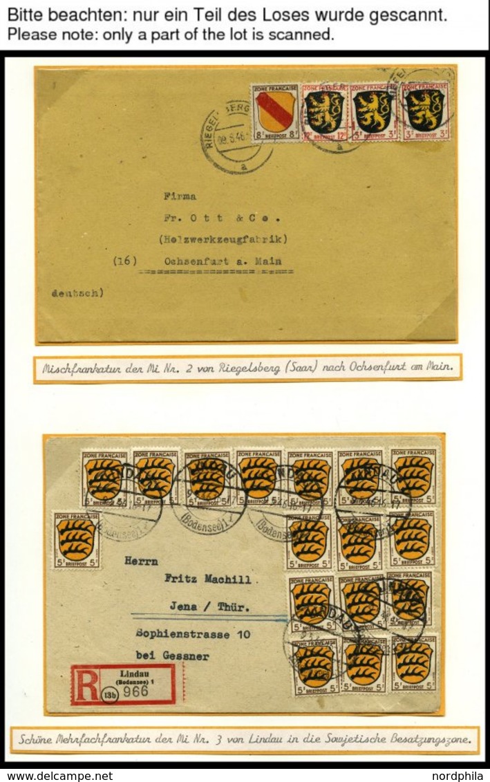 SAMMLUNGEN, LOTS *,**,o,Brief , Umfangreiche Sammlung Französische Zone Von 1945-49 Im SAFE Album Mit Verschiedenen Papi - Other & Unclassified