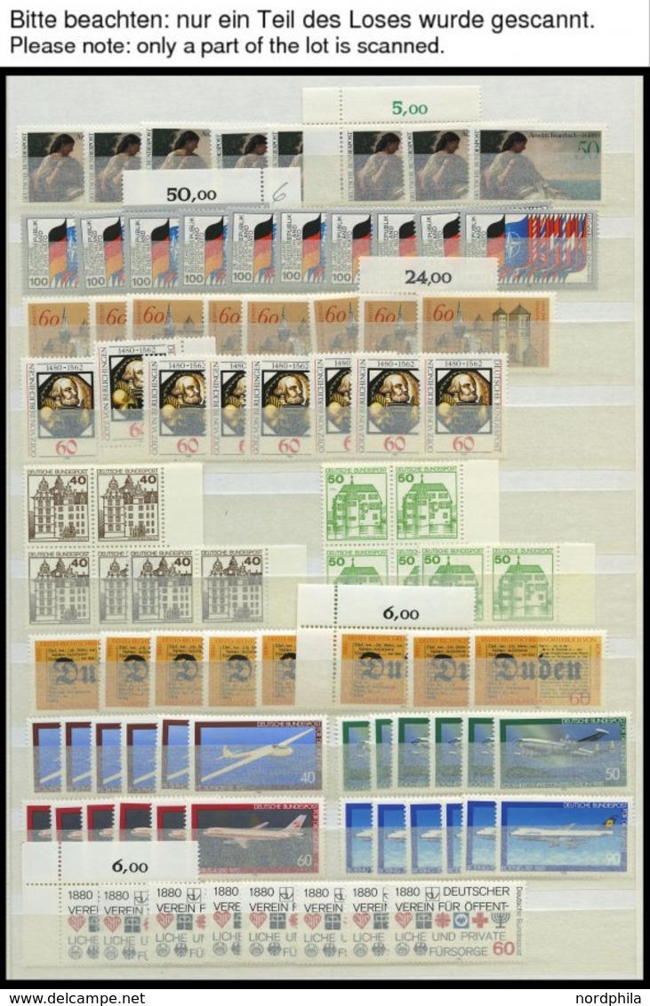 ENGROS 1033-1067 **, 1980, In Den Hauptnummern 6-8x Kompletter Jahrgang Sauber Auf Einsteckseiten, Pracht - Unused Stamps