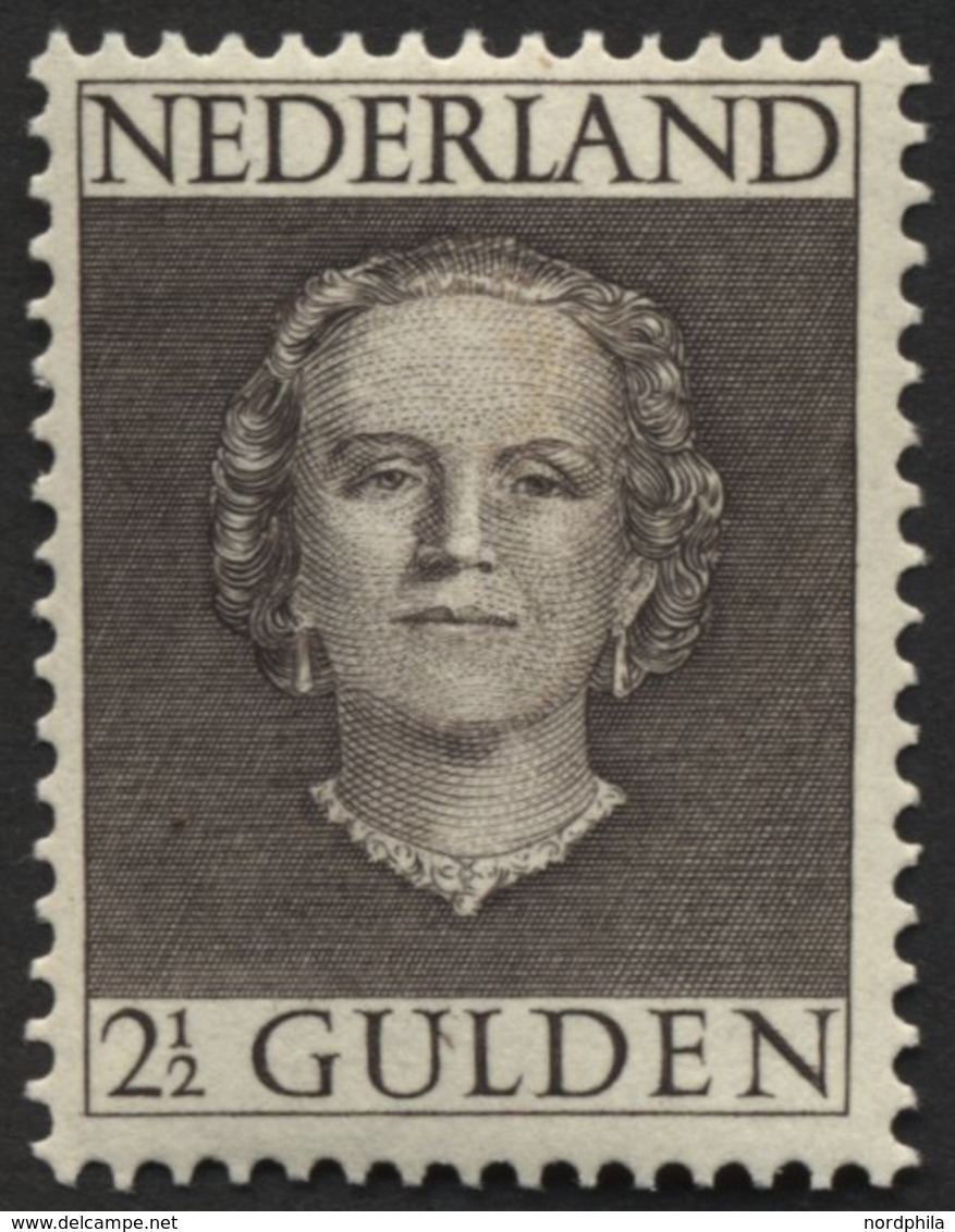 NIEDERLANDE 541 **, 1949, 21/2 G. Graubraun, Pracht, Mi. 200.- - Nederland