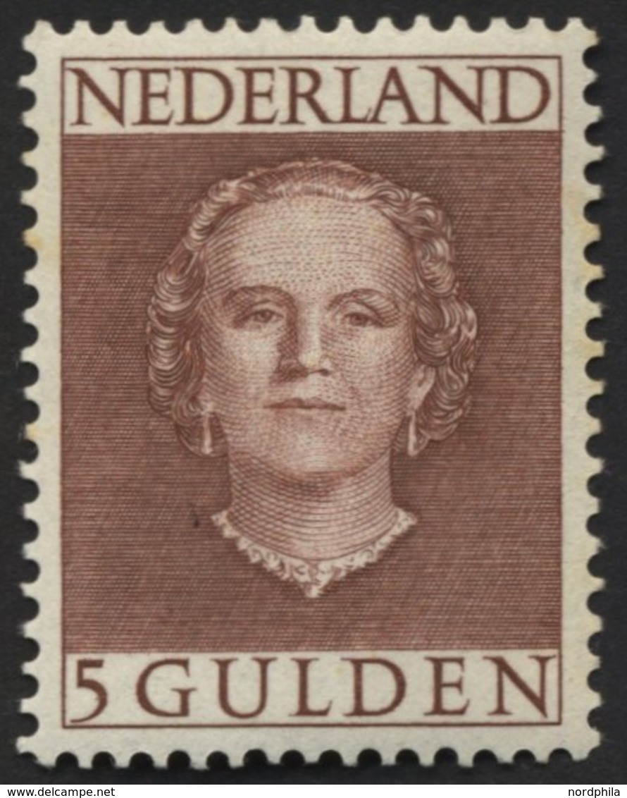 NIEDERLANDE 542 **, 1949, 5 G. Rotbraun, Gummi Minimal Fleckig Sonst Pracht, Mi. 450.- - Netherlands