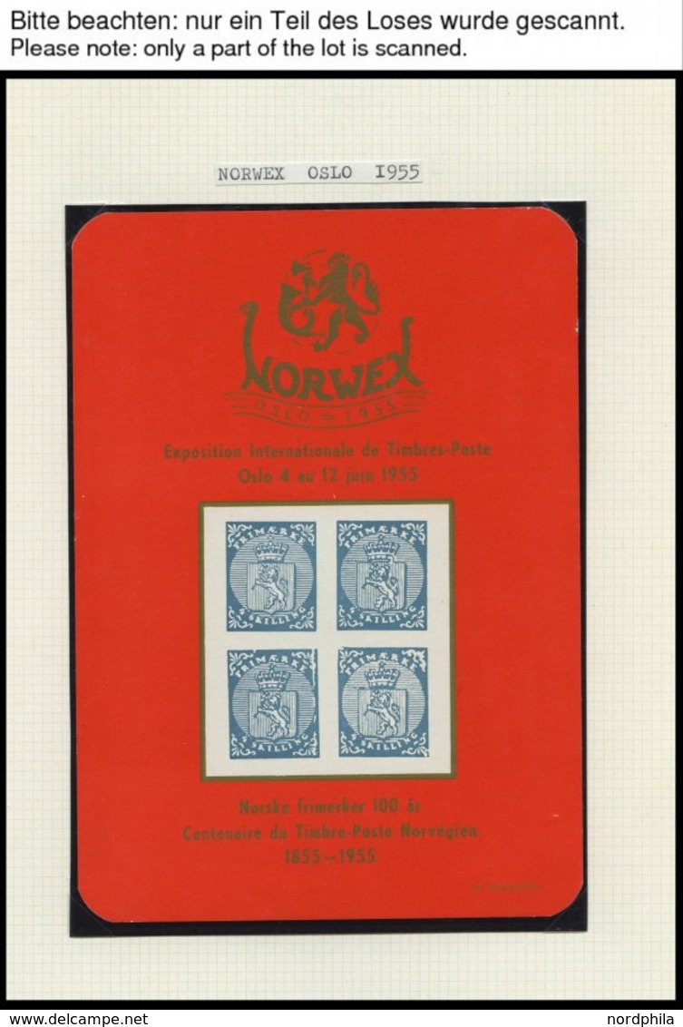 SAMMLUNGEN, LOTS *, 1955-90, 17 Verschiedene Ungebrauchte Minneblokker Und Ein Bogen 3 Ø Drammens Filatelist Clubs, Prac - Collezioni