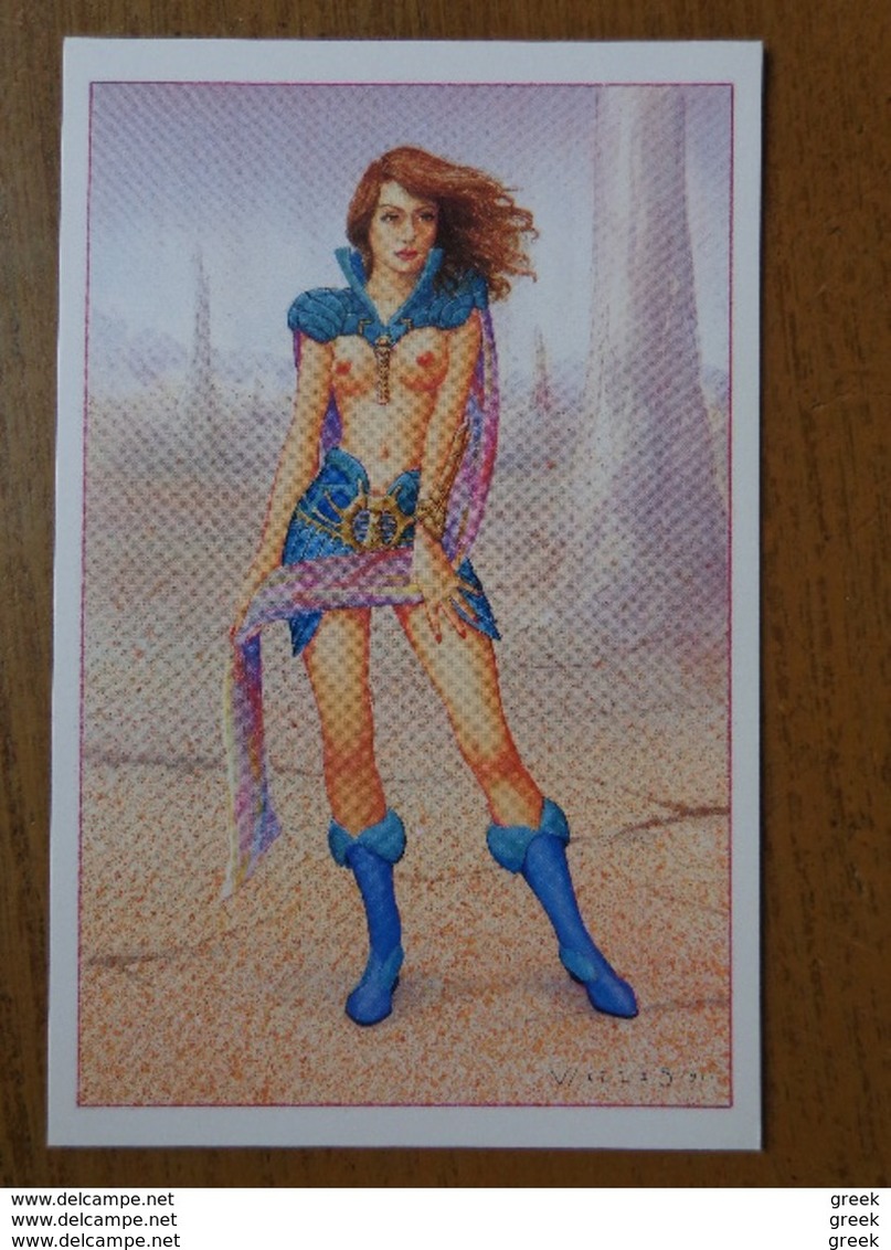 101 kaarten met NAAKT - NUDE - NAKED - PIN UPS (see pictures of 99 cards) - 462 gram