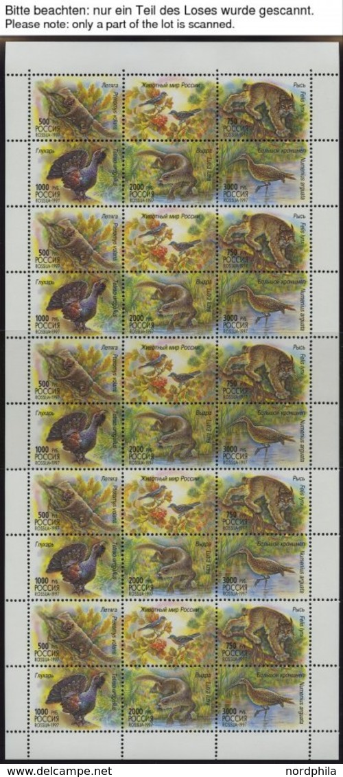 RUSSLAND KB **, 1997, Einheimische Fauna Und Russisches Museum, 5 Kleinbogen (Mi.Nr. 597-601, 623-26), Pracht, Mi. 70.- - Altri & Non Classificati