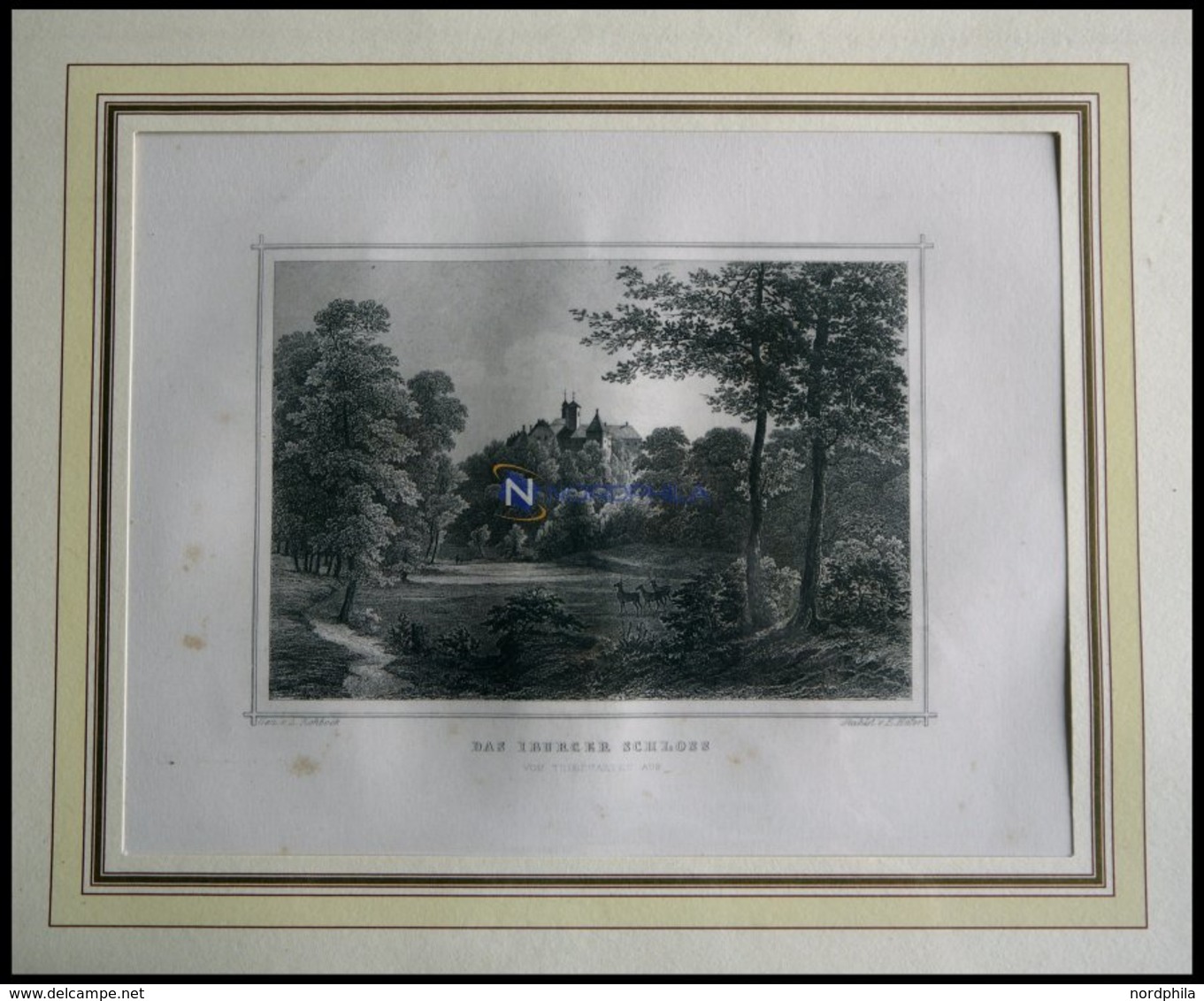 BAD IBURG: Das Schloß Vom Tiergarten Aus Gesehen, Stahlstich Von Rohbock/Höfer Um 1840 - Litografia