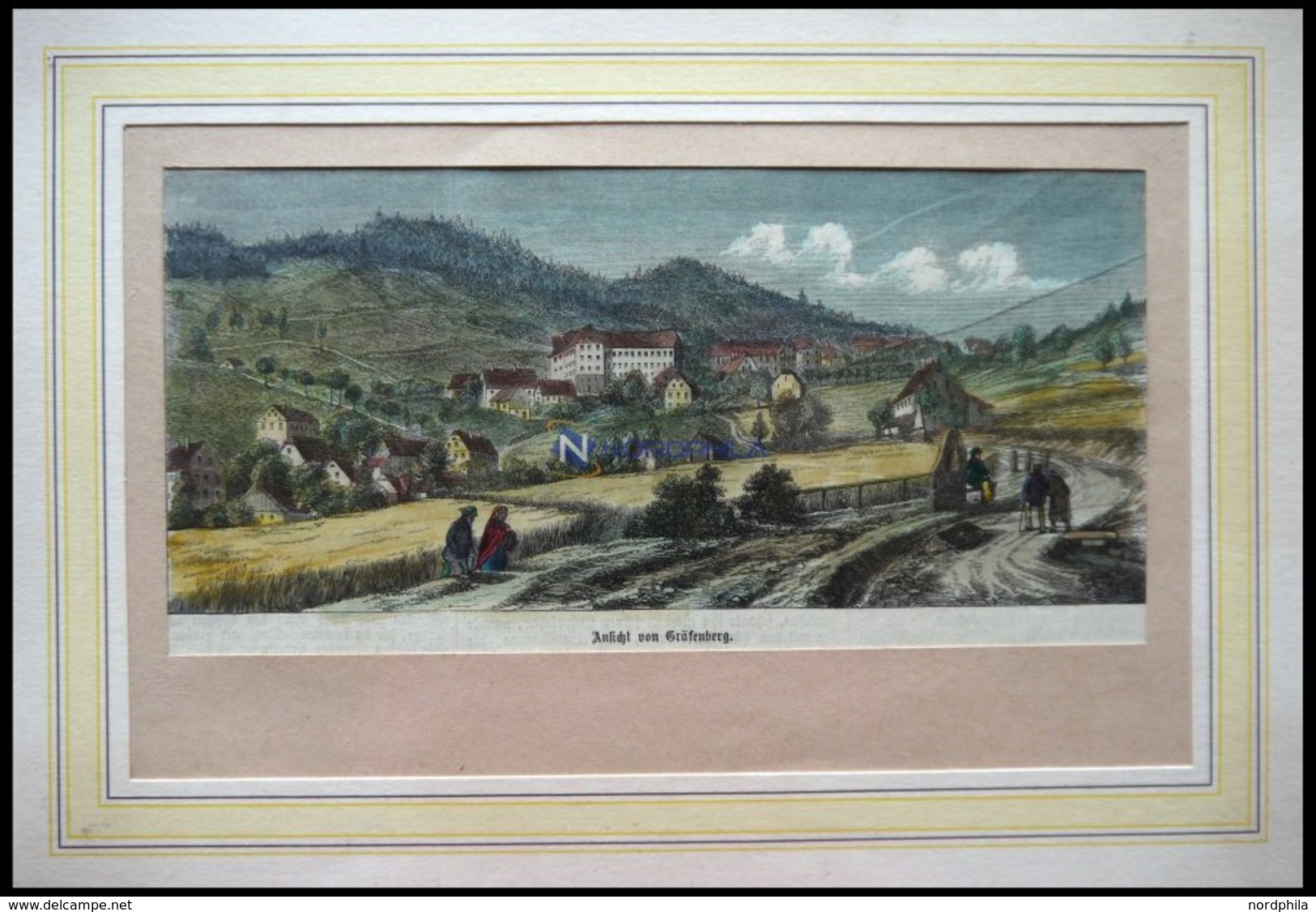 GRÄFENBERG I. SCHLESIEN, Gesamtansicht, Kolorierter Holzstich Um 1880 - Litografia