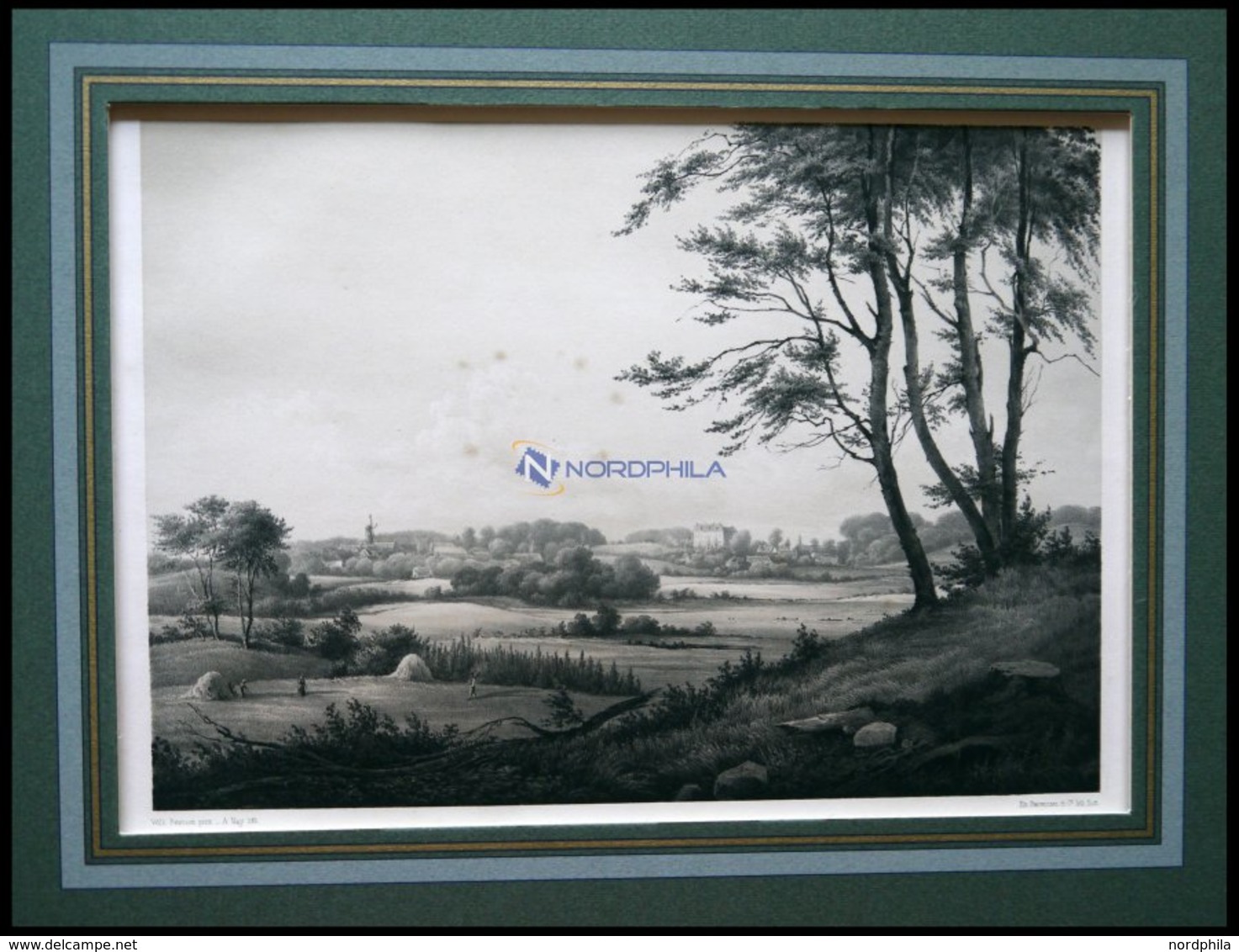 TRANEKJAER (Tranekjr Paa Langeland), Gesamtansicht, Lithographie Mit Tonplatte Von Alexander Nay Nach Wilhelm Petersen  - Litografía