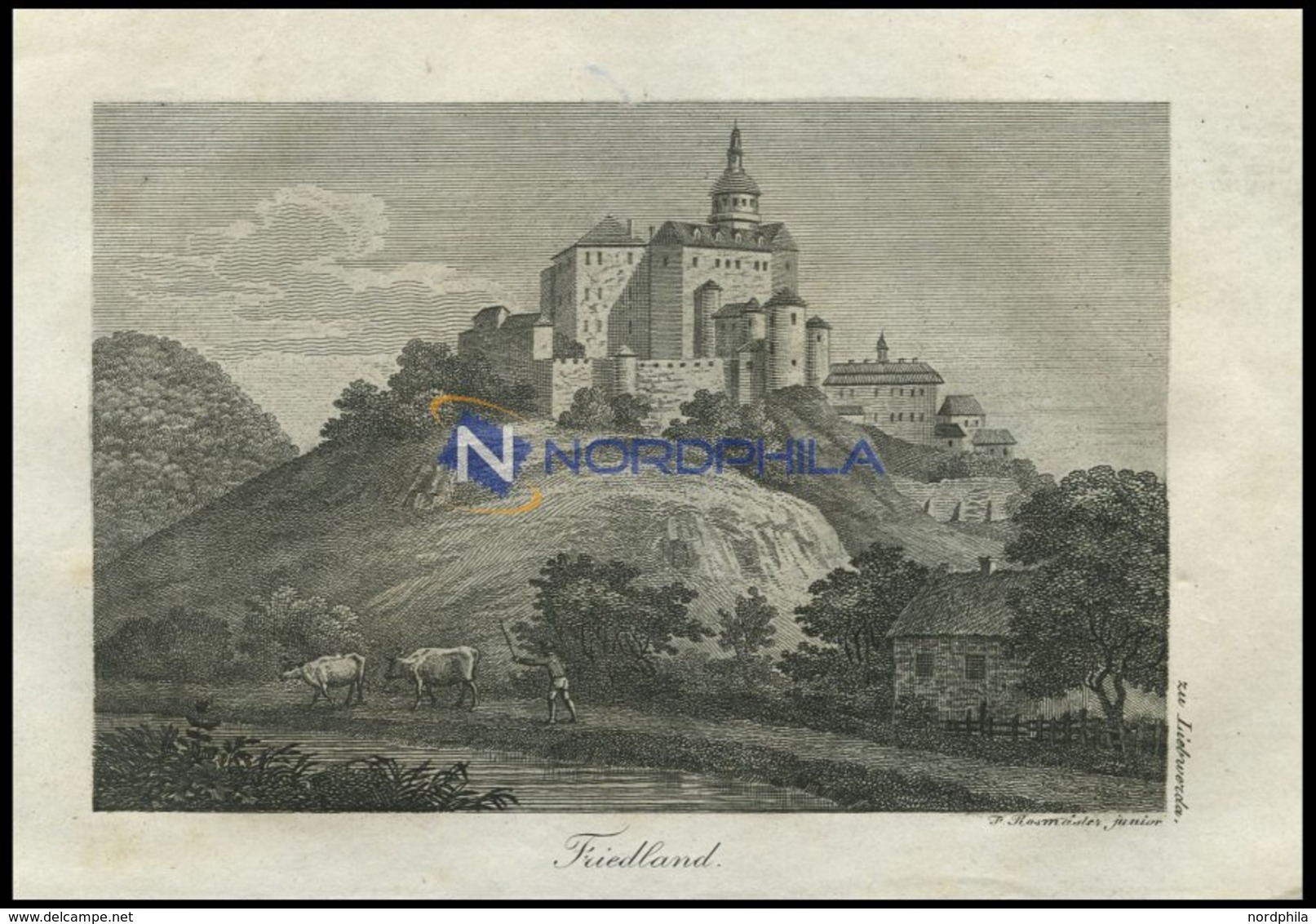 FRIEDLAND, Schloß Bei Liebwerda/Böhmen (Leitmeritzer Kreis): In Den Felsen Teilweise Eingebaute Burganlage, Ztw. In Besi - Lithografieën