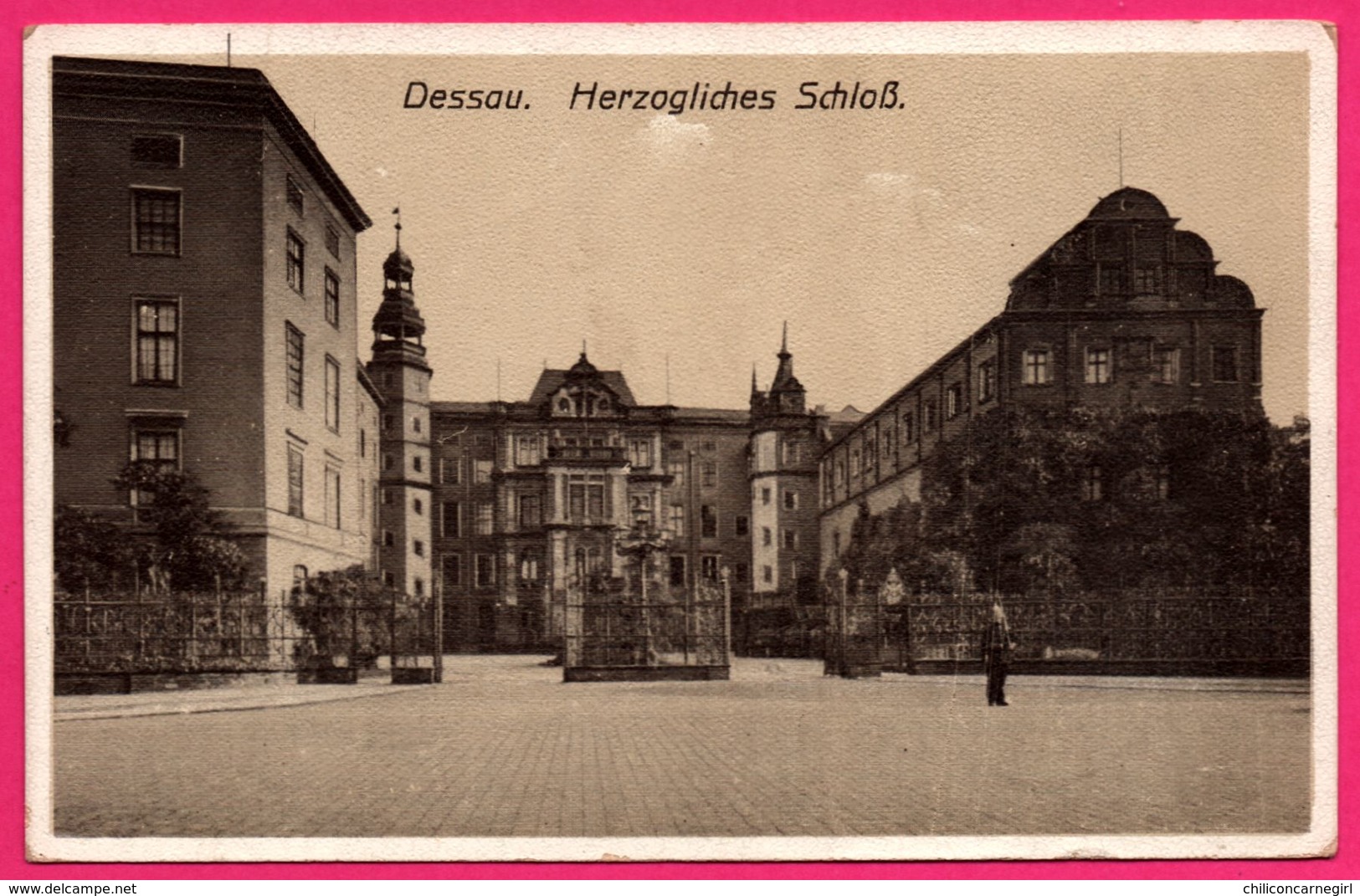 Dessau - Herzogliches Schloss - Animée - 1916 - Oblit. DESSAU 20.9.16 *1 - Dessau