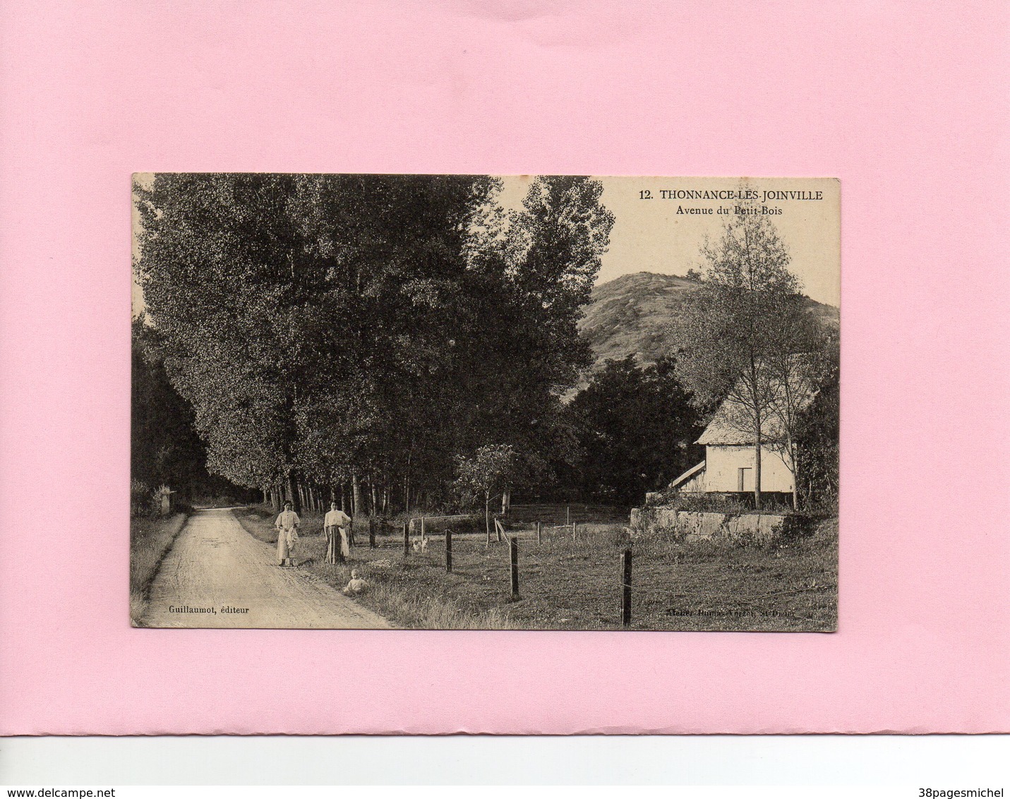 Carte Postale - THONNANCE LES JOINVILLE - Avenue Du Petit Bois - Autres & Non Classés