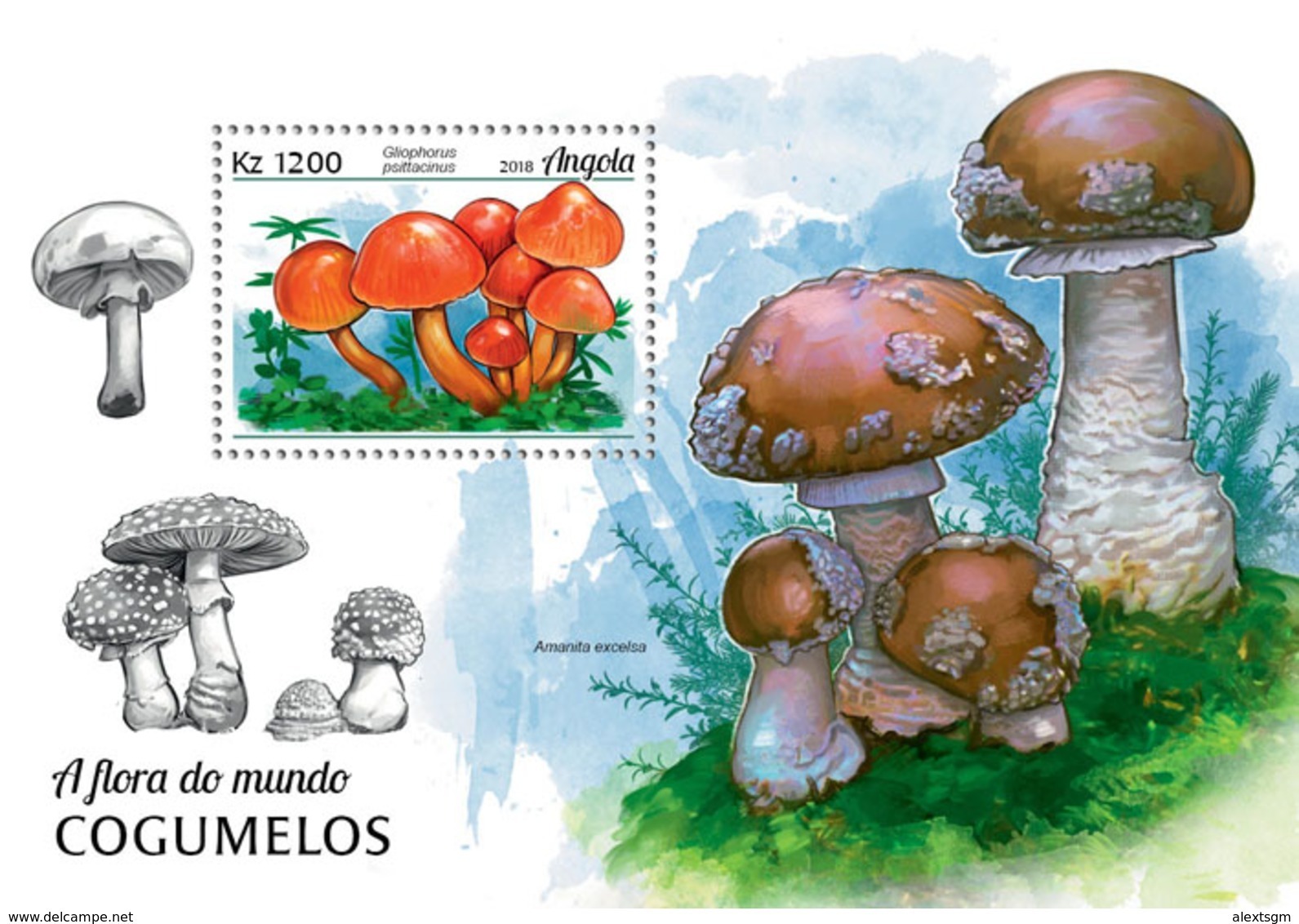 ANGOLA 2018 - Mushrooms S/S. Official Issue - Funghi