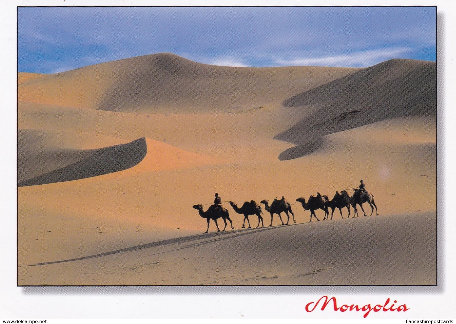 Postcard Mongolia Camel Train PU 2003  My Ref  B23268 - Mongolia