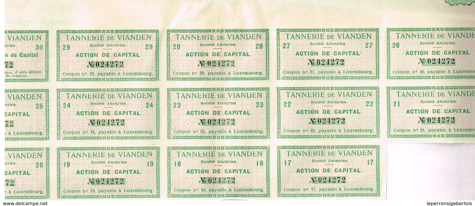 Action Ancienne - Tannerie De Vianden Société Anonyme - Titre De 1930  - VF - Industrie