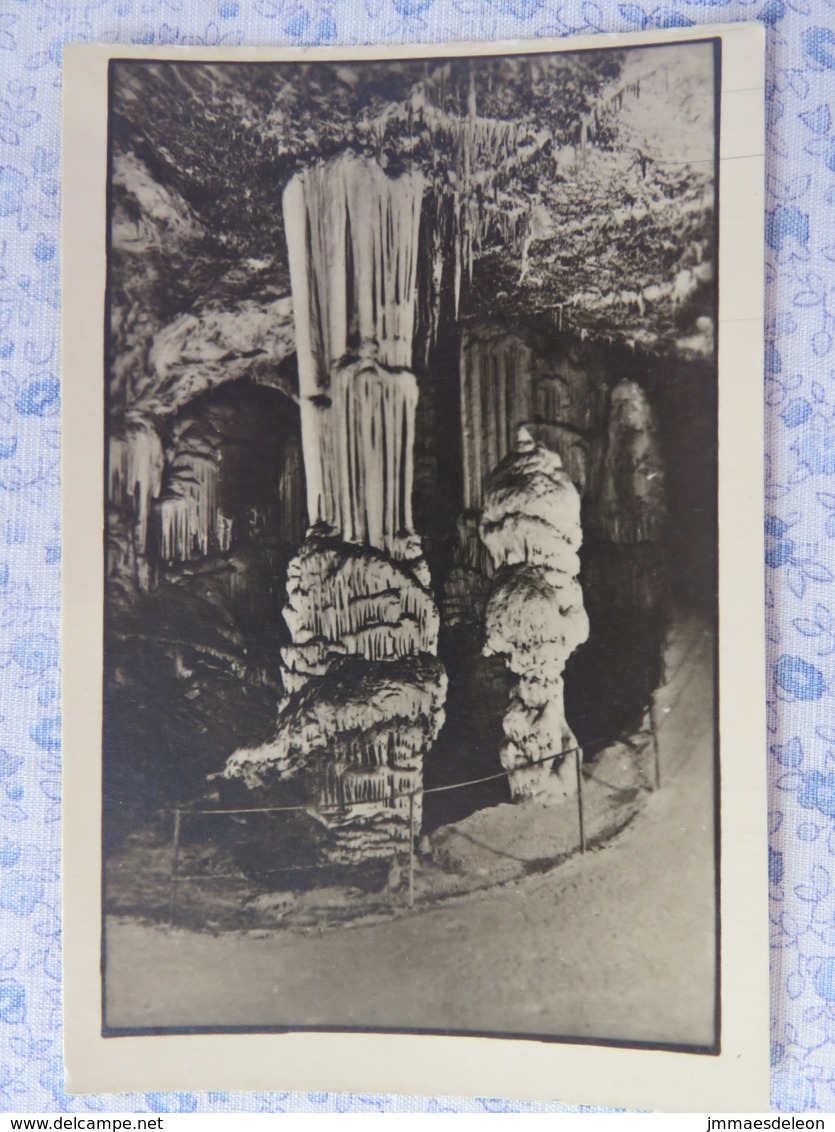 Slovenia - Unused Postcard - Postojna Cave - Slovénie