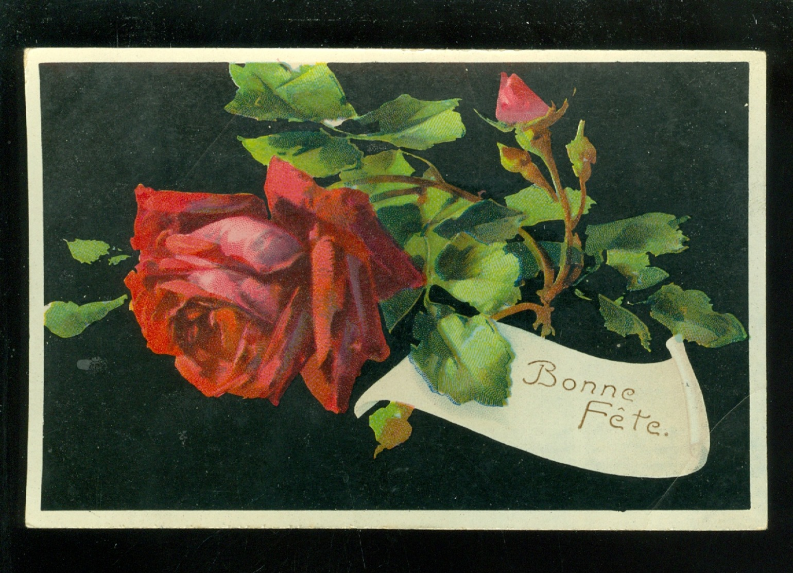 Beau Lot De 20 Cartes Postales De Fantaisie Genre Illustrateur Catharina Klein ( Pas Signée ) Fleur     20 Postk.  Bloem - 5 - 99 Cartes