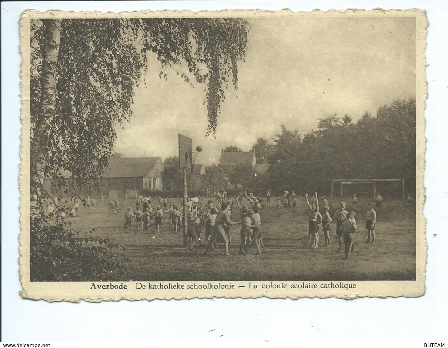 Averbode Katholieke Schoolkolonie ( Basket Ball ) - Scherpenheuvel-Zichem