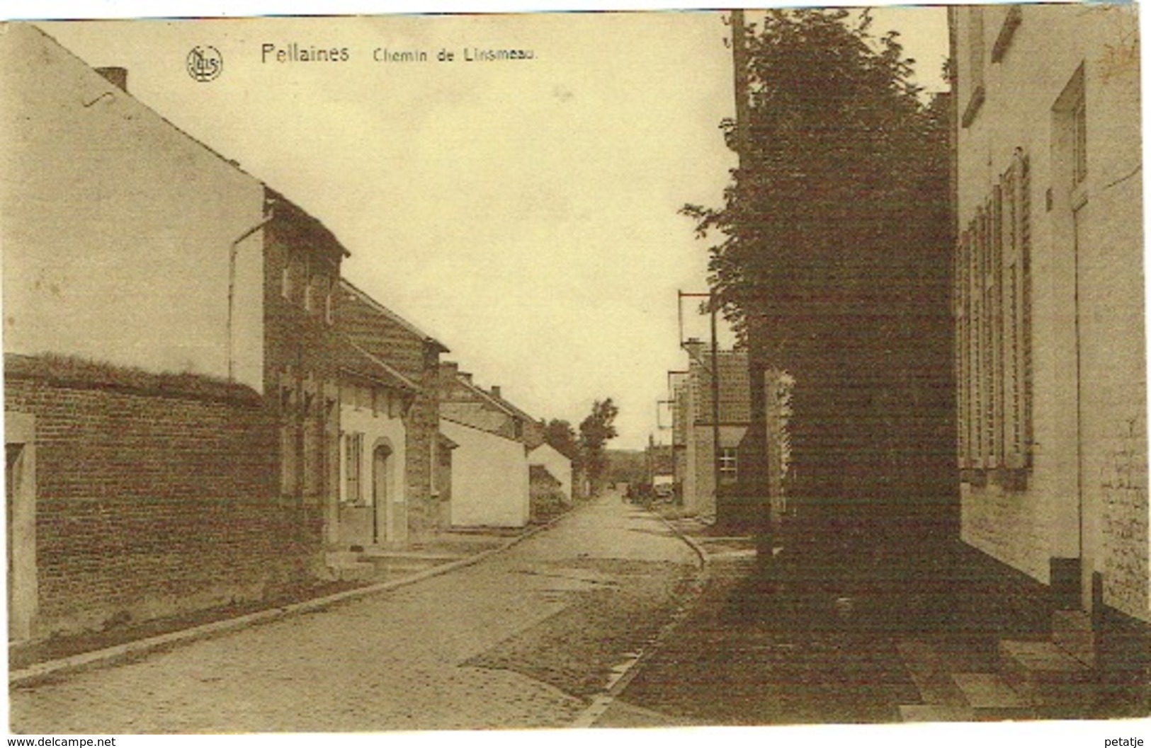 Pellaines , Chemin De Linsmeau - Lincent