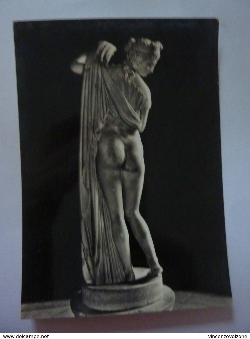 Cartolina "MUSEO NAZIONALE DI NAPOLI  - VENERE CALLIPIGE" Ediz, Vincenzo Carcavallo, Napoli Anni '50 - Musei