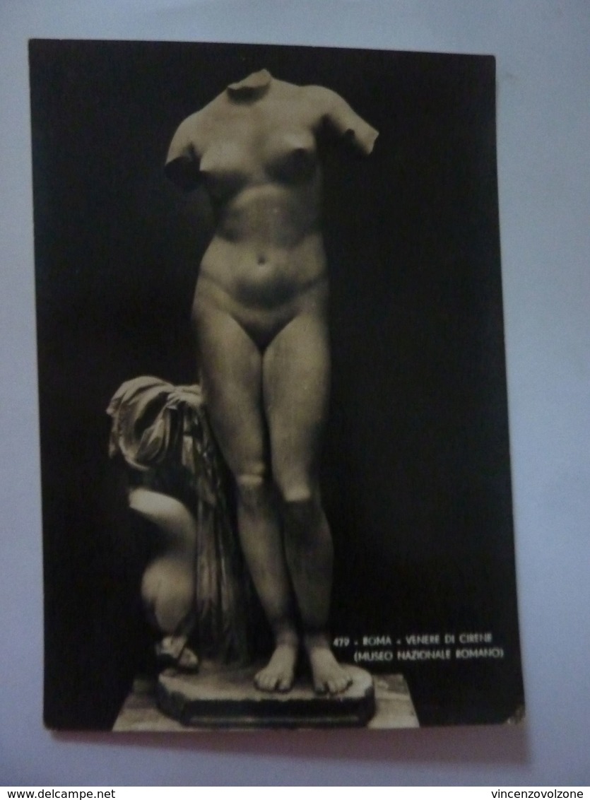 Cartolina "ROMA - VENERE DI CIRENE ( Museo Nazionale Romano )" Anni '50 - Musei